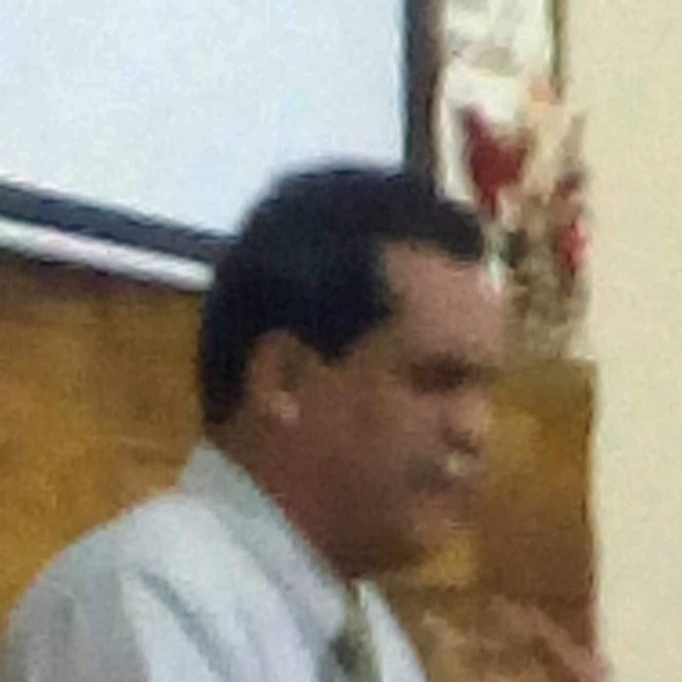 Sermones IBR