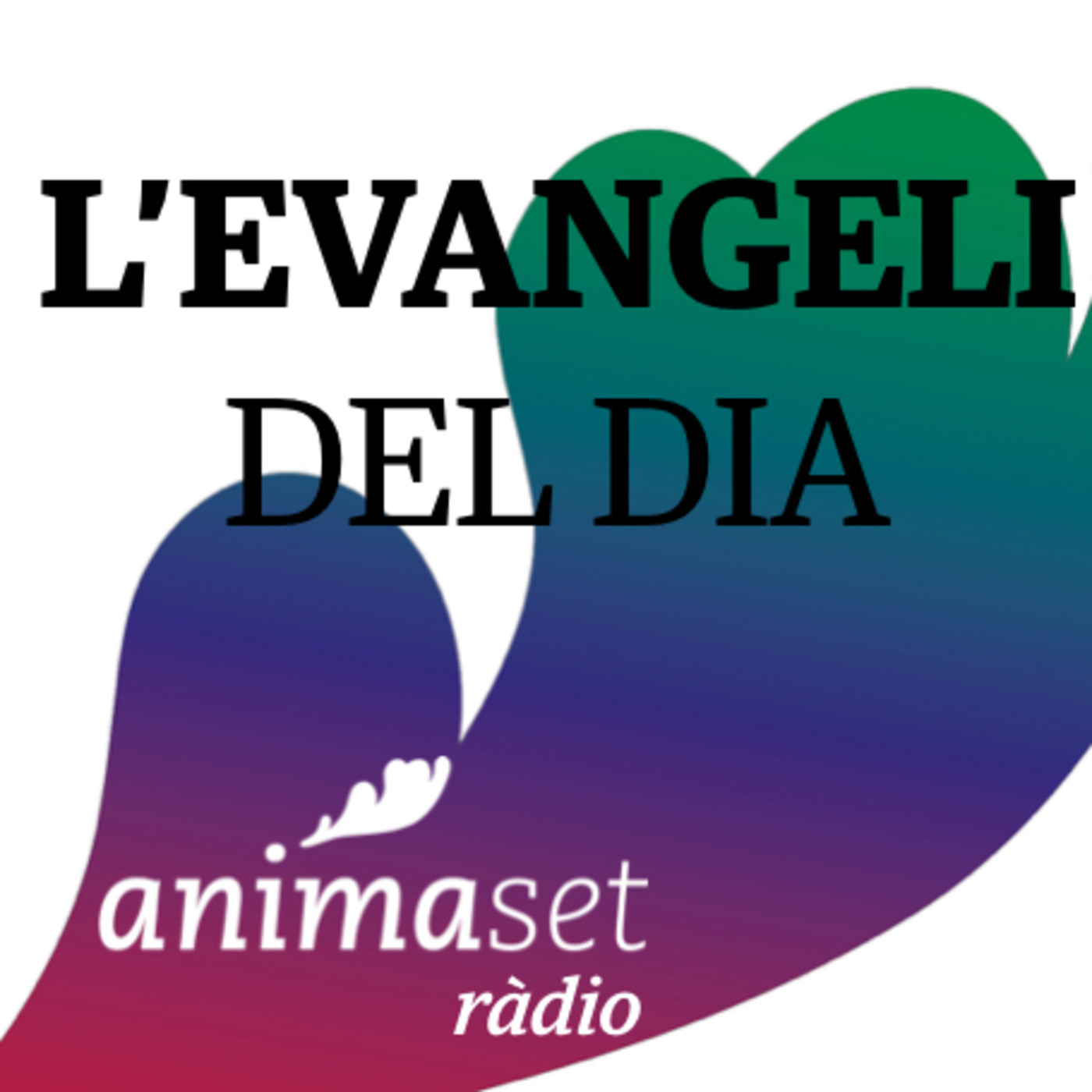 L’Evangeli del dia