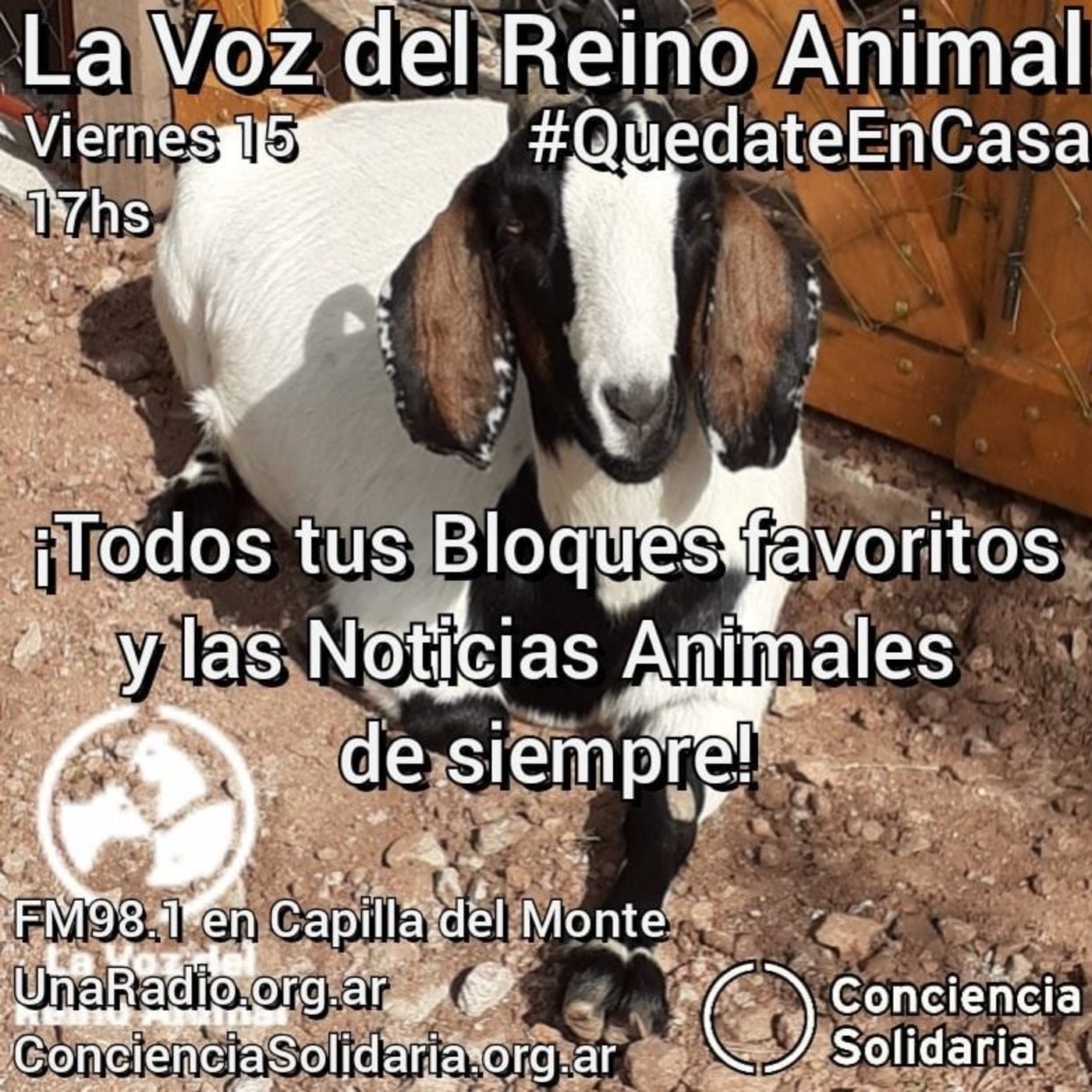 #LaVozDelReinoAnimal 15.05.2020 episode artwork