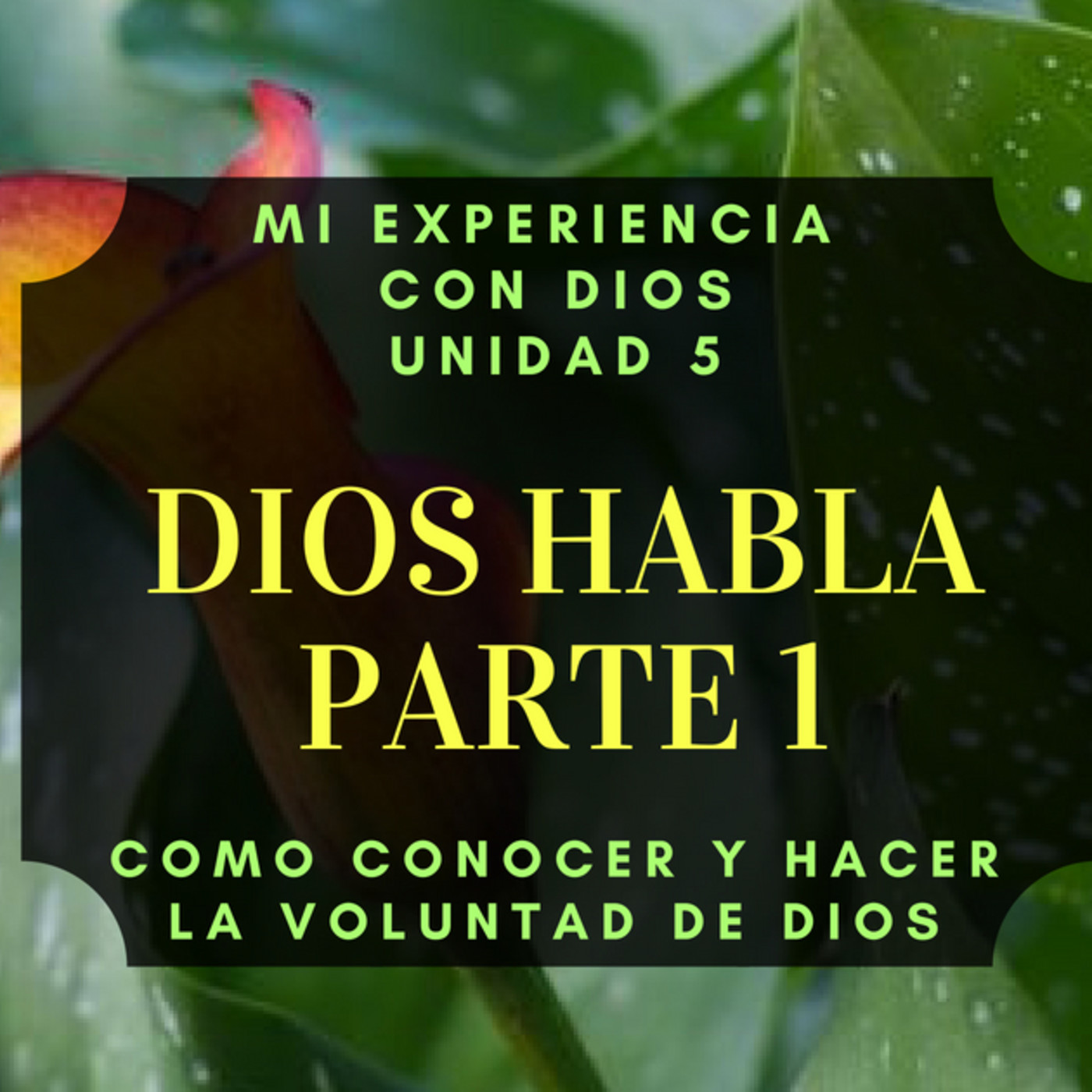 Mi Experiencia con Dios