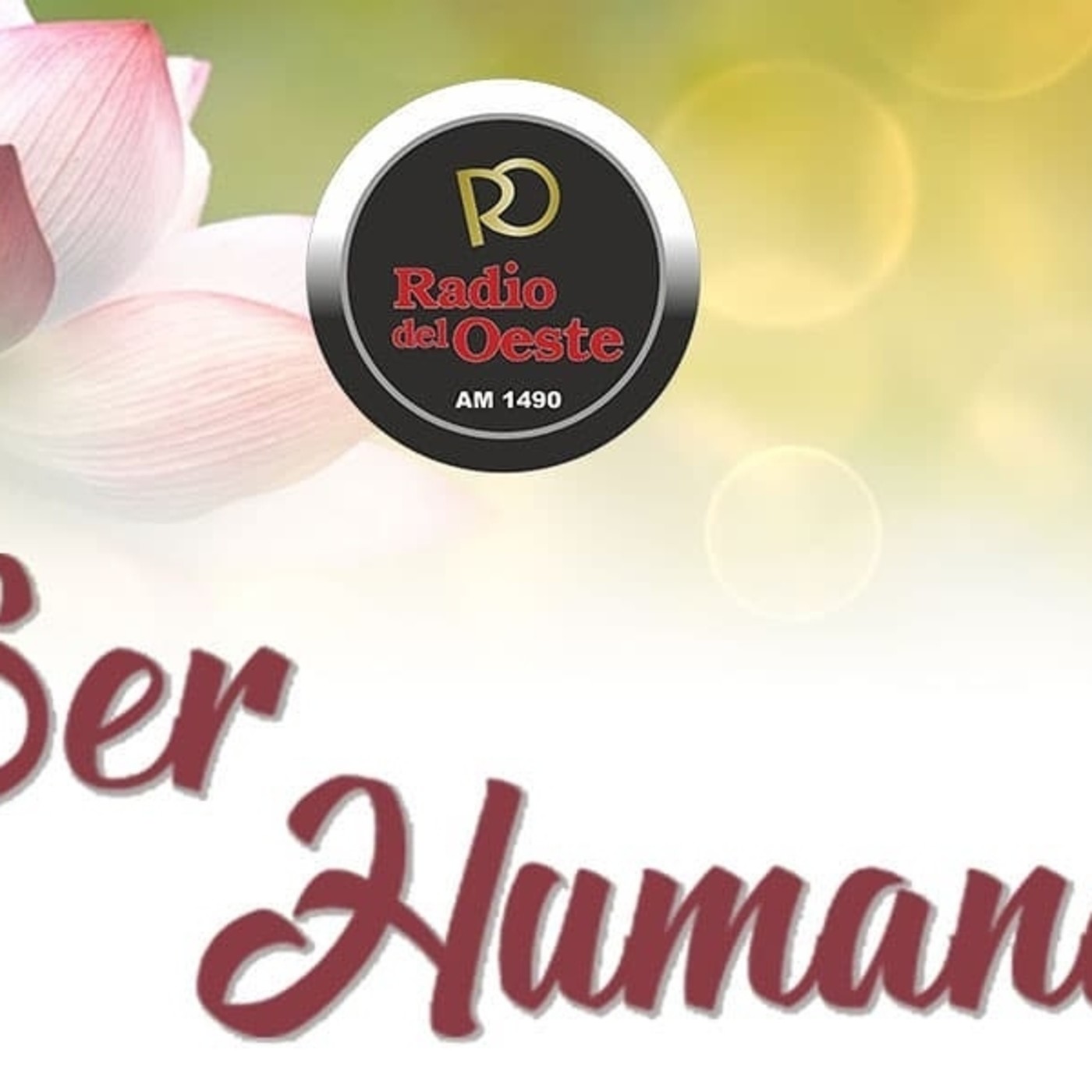 escueladereikiamanecer