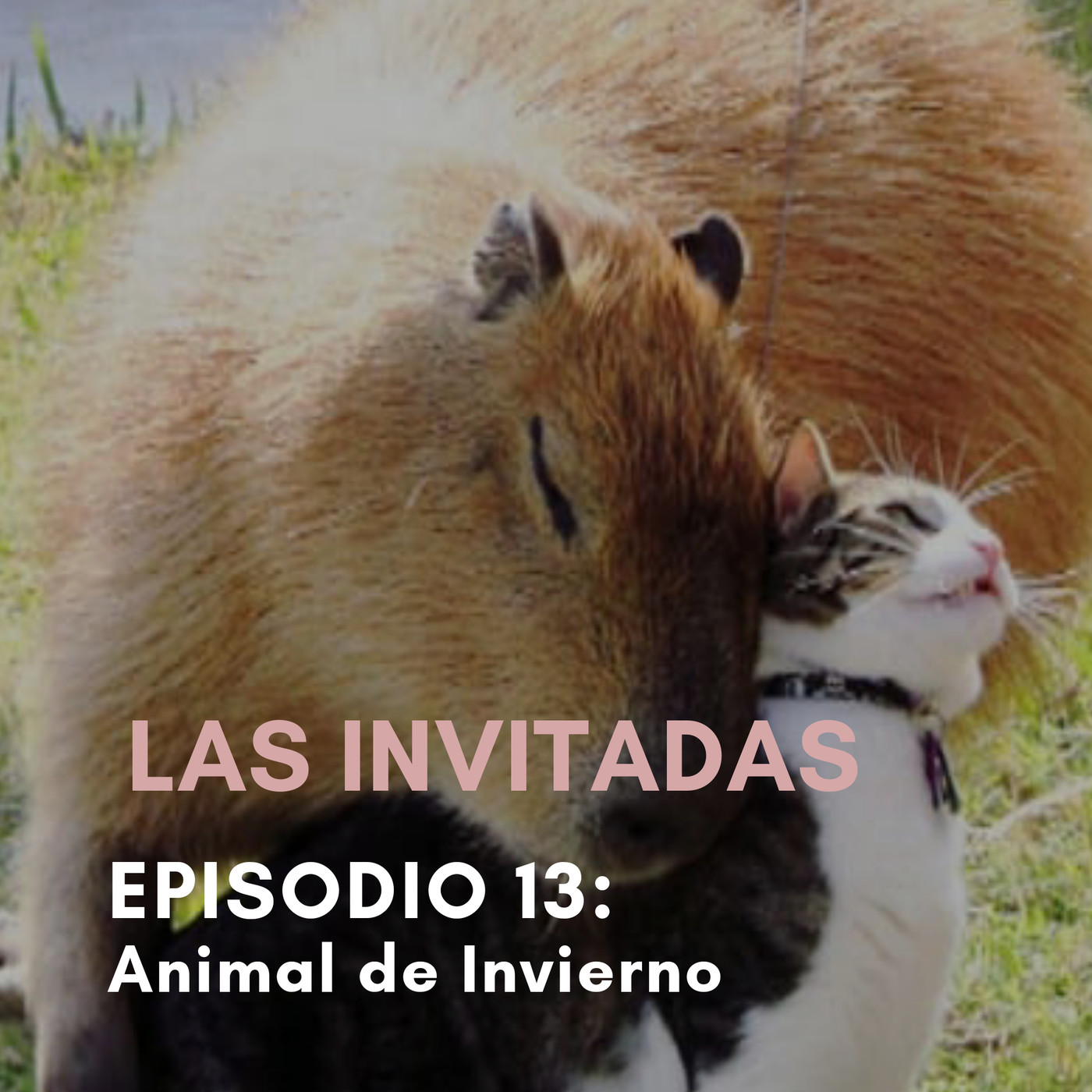 Las Invitadas
