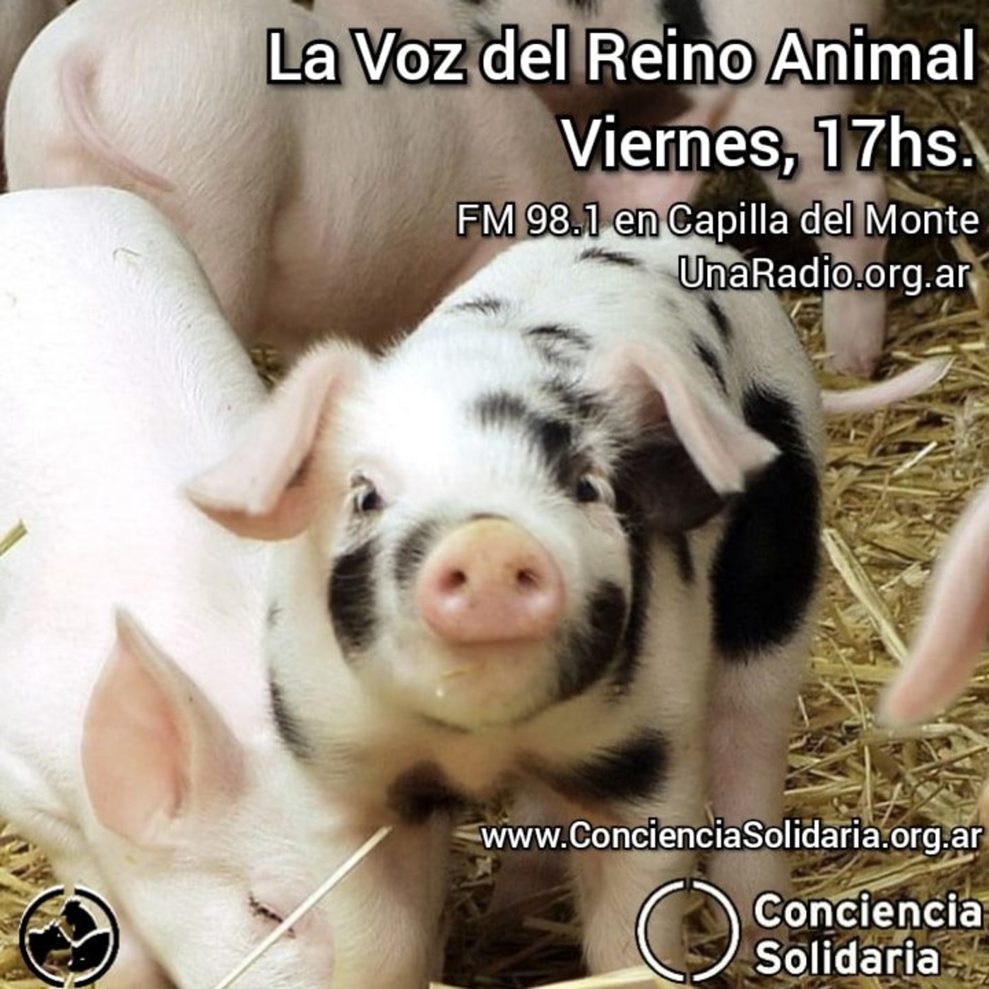 #LaVozDelReinoAnimal 03.01.2020 episode artwork