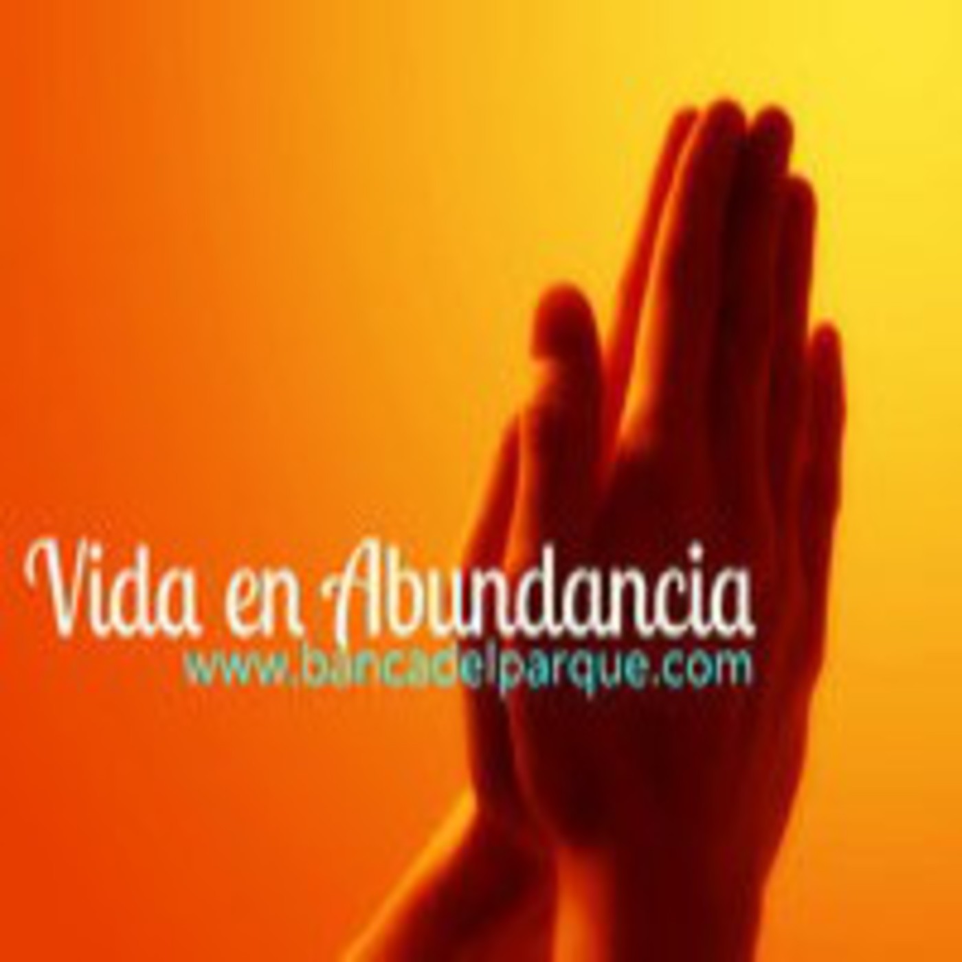 30.04.2015 - Vida en Abundancia - La fe es historia de pecado y de gracia