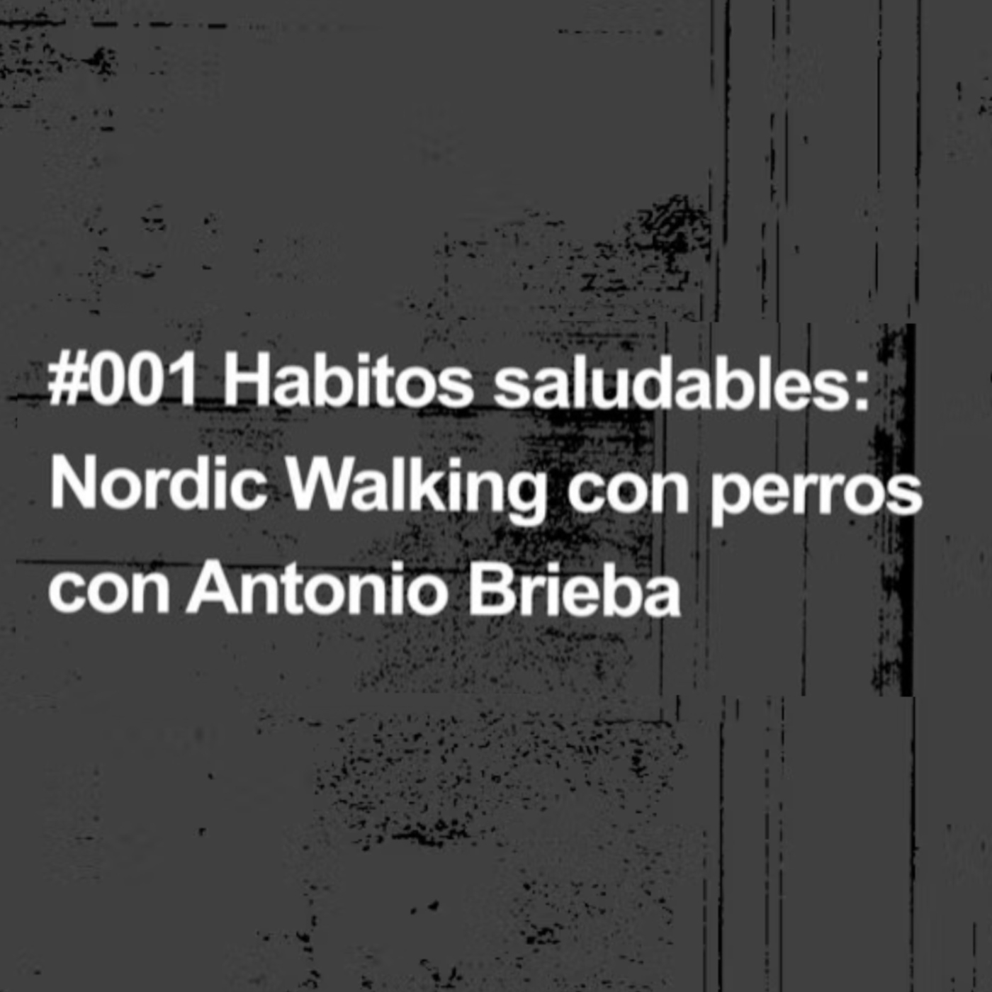 Consejos veterinarios de perros y gatos by canigat