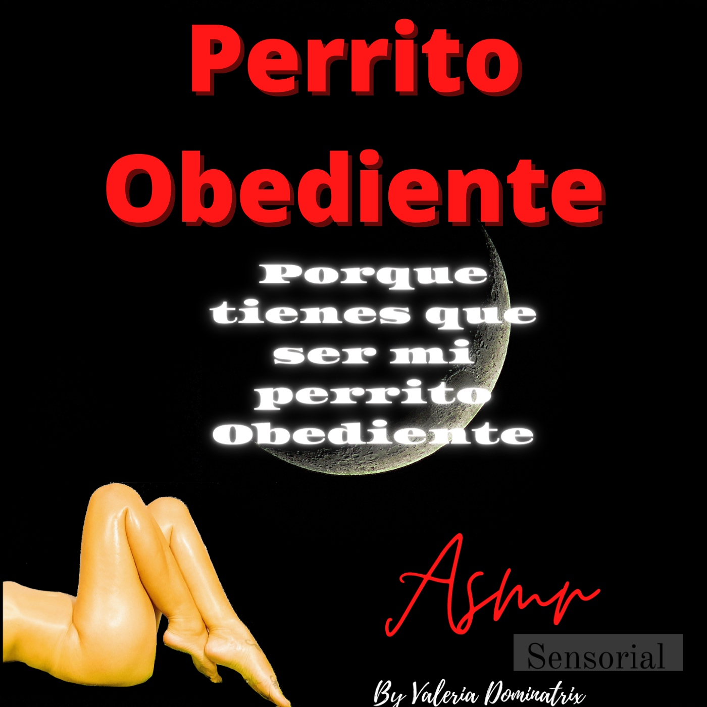 Perrito Obediente