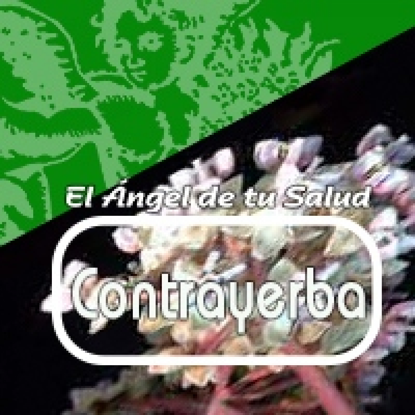 El Ángel de tu Salud - CONTRAYERBA*