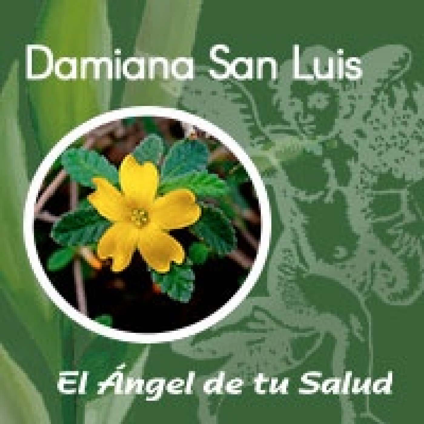 El Ángel de tu Salud - Damiana San Luis** episode artwork