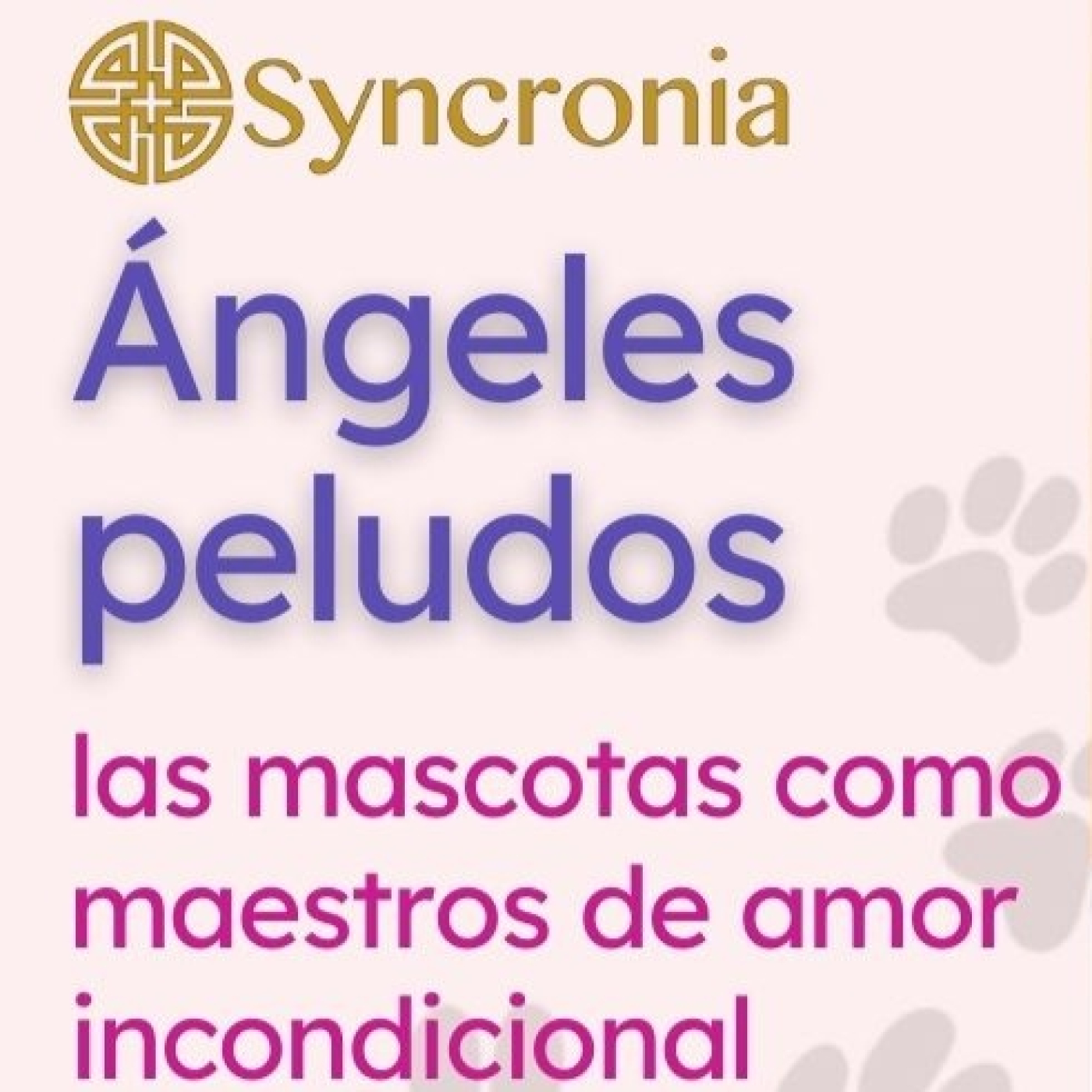 Charlas Syncronia