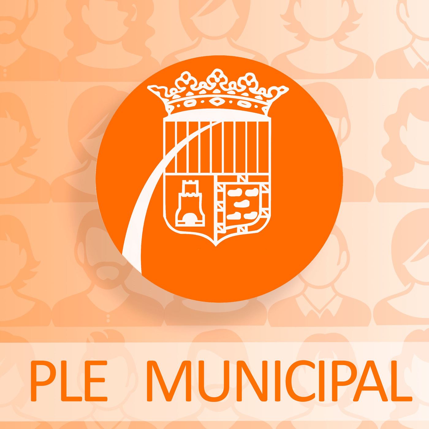 Ple municipal de novembre 2019. L'anàlisi episode artwork