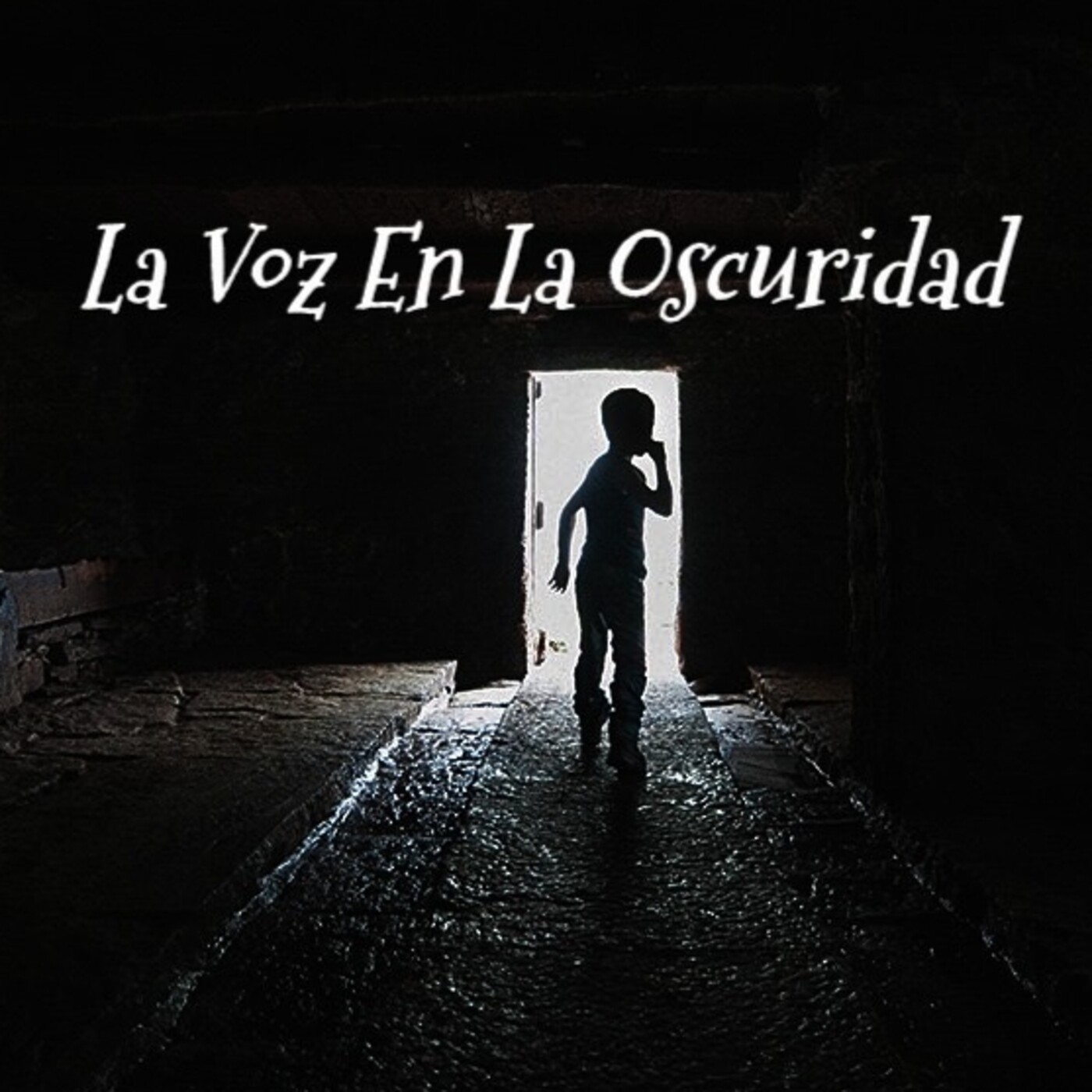 La Voz en la Oscuridad