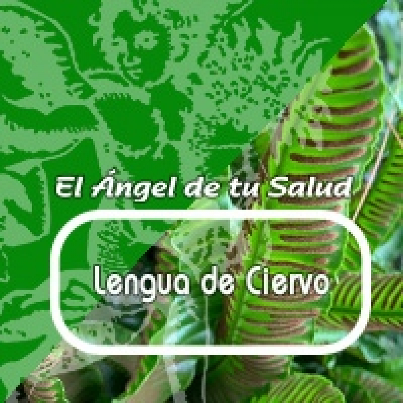 El Ángel de tu Salud - LENGUA DE CIERVO ** episode artwork