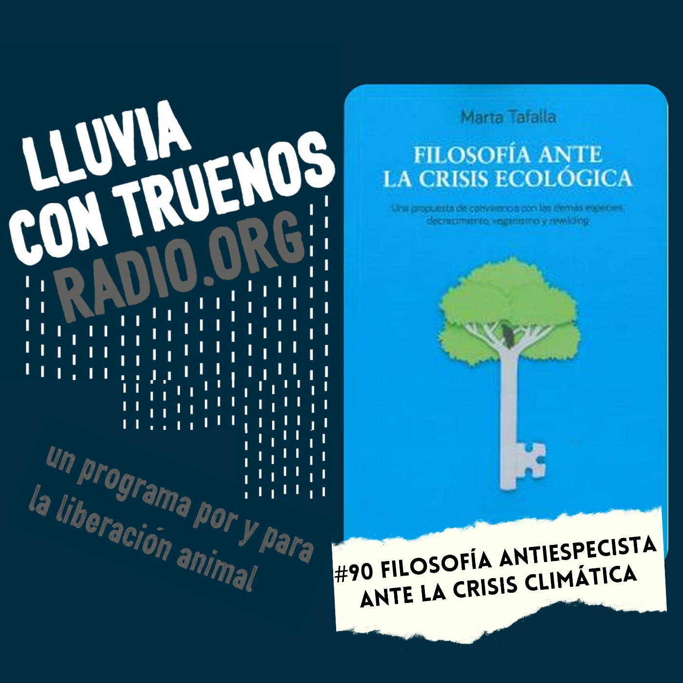Lluvia con truenos radio