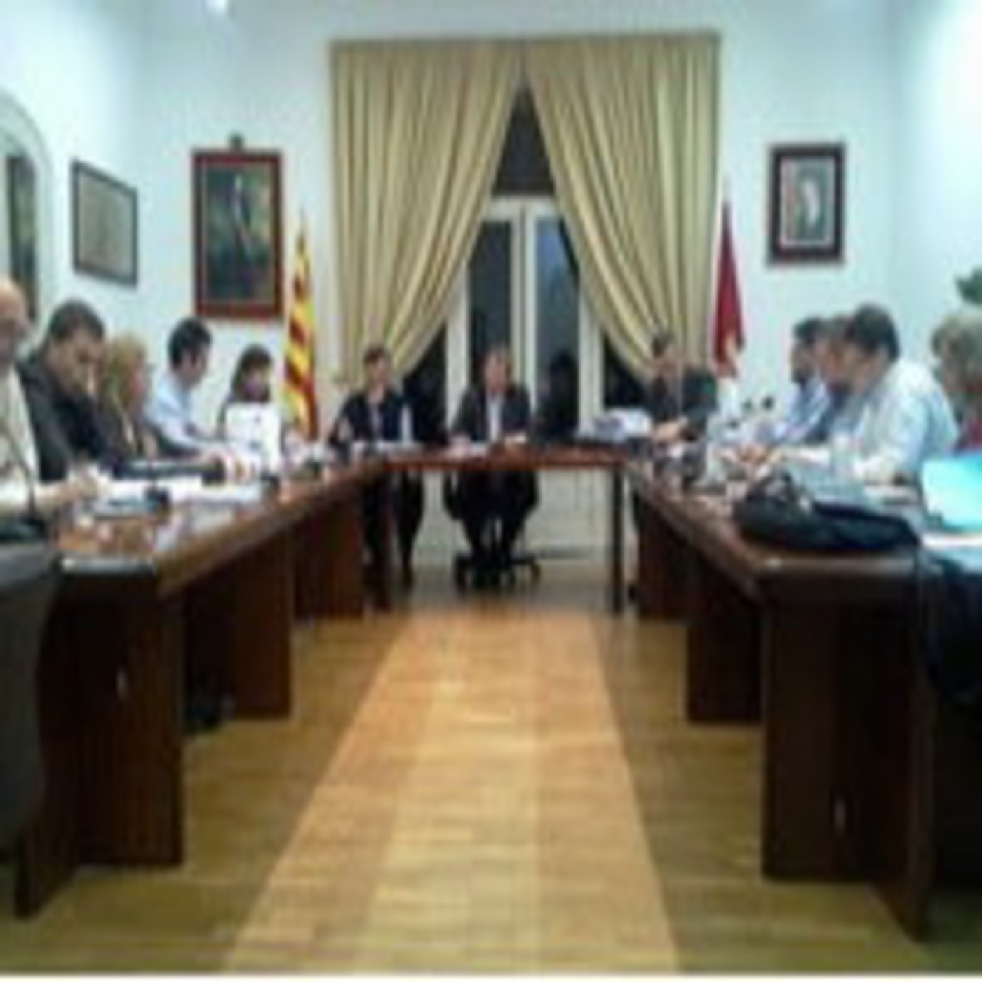 Plens municipals