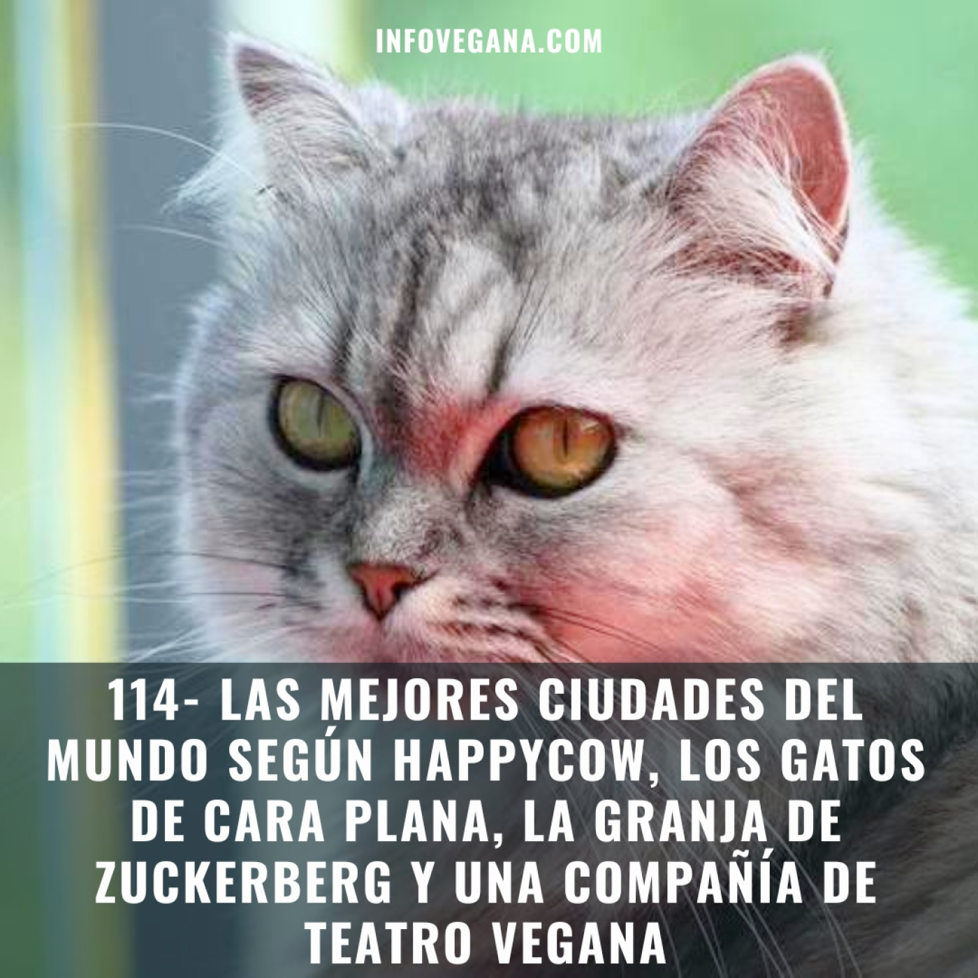 Infovegana, podcast de veganismo y sostenibilidad