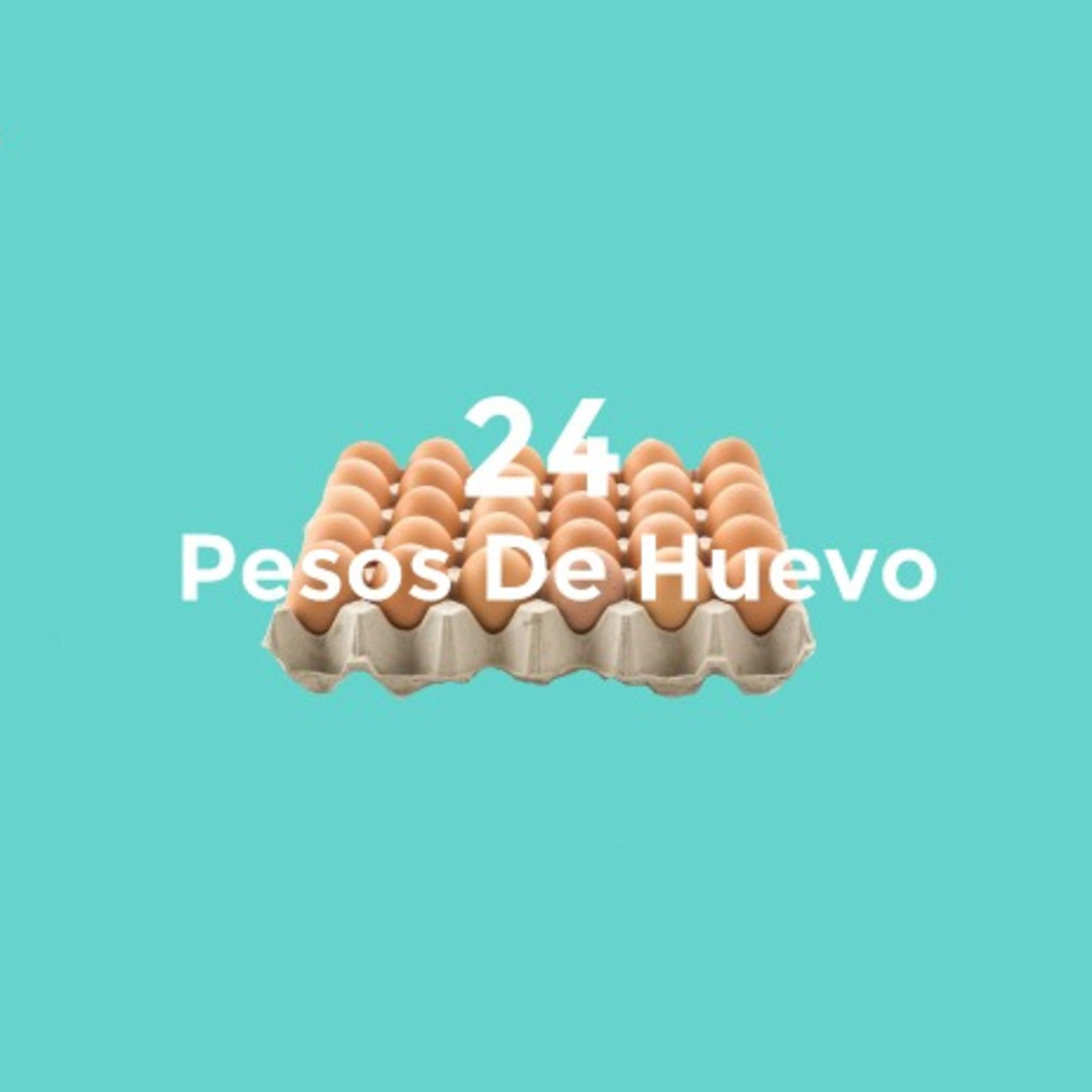 15: Abrázame hermano!.