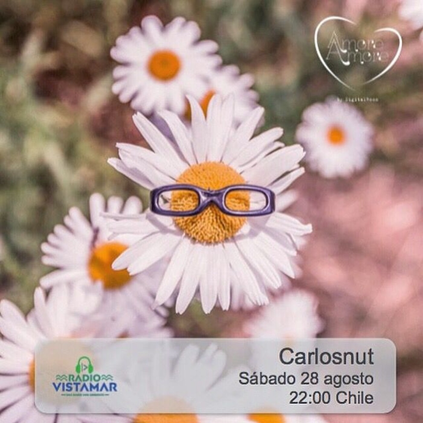 Amore Amore