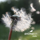 Laudato si' cada dia 23/05/2020