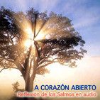 embed image