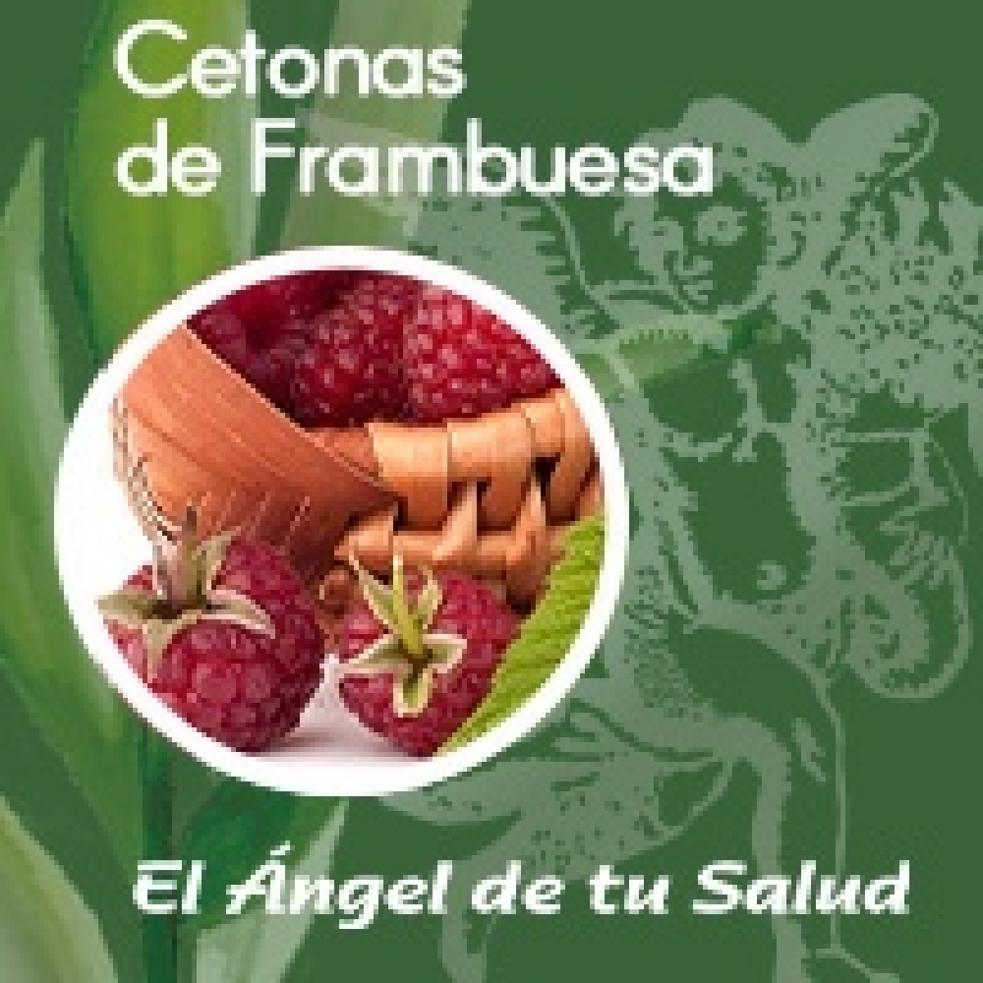 El Ángel de tu Salud - Cetonas de Frambuesa** episode artwork