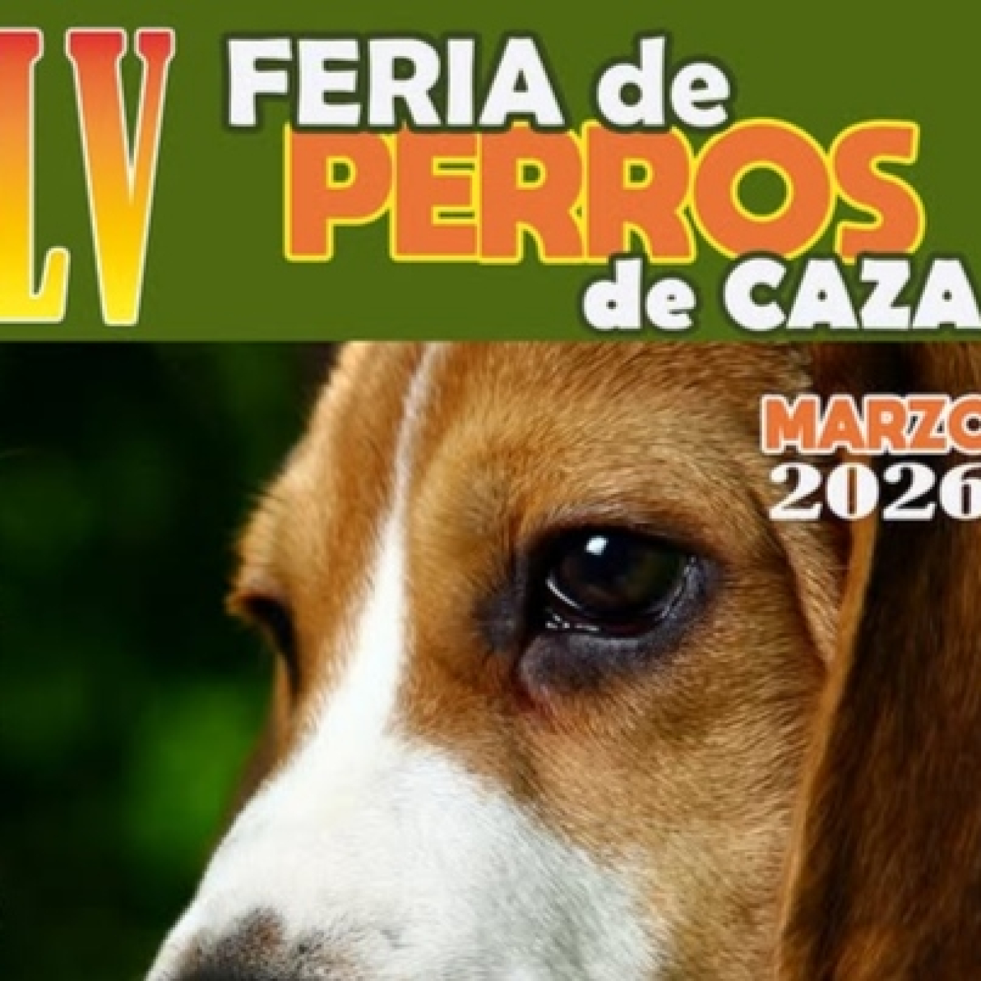 Amparo Valtuille es la concejala de Ferias del ayuntamiento de Camponaraya y nos habla de la Feria de Perros de caza