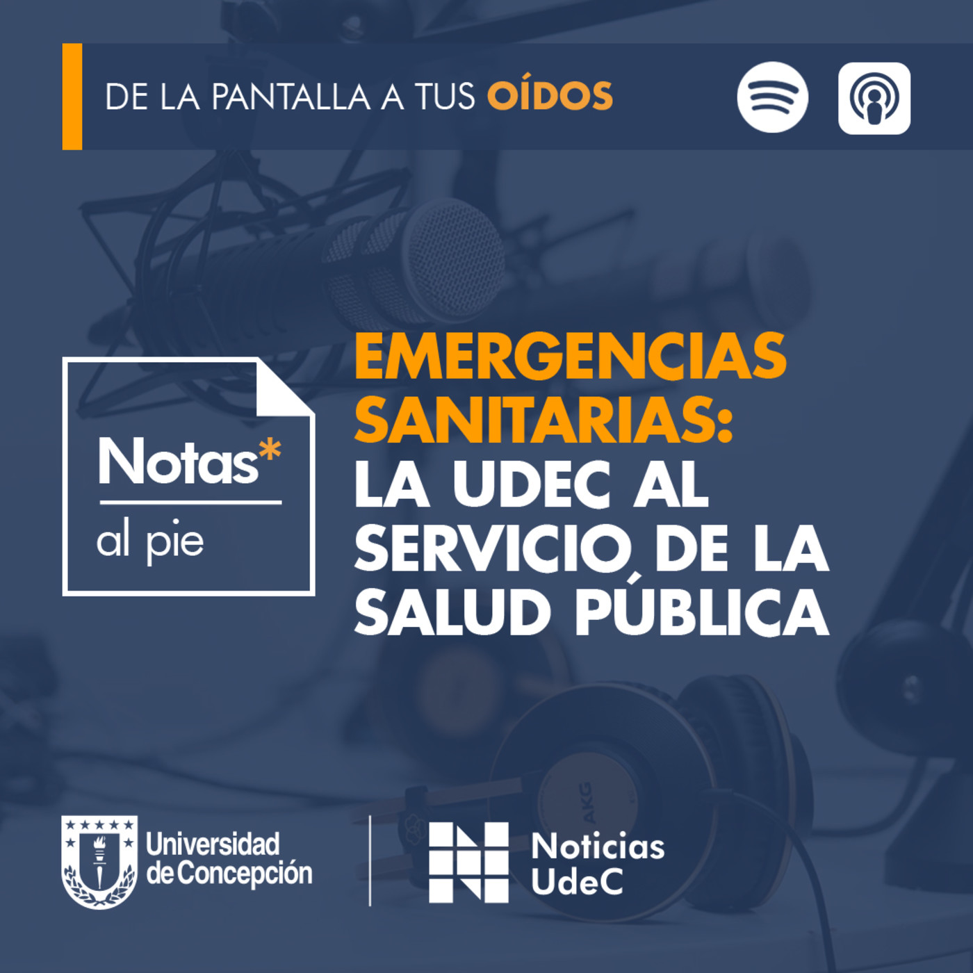 Notas al pie
