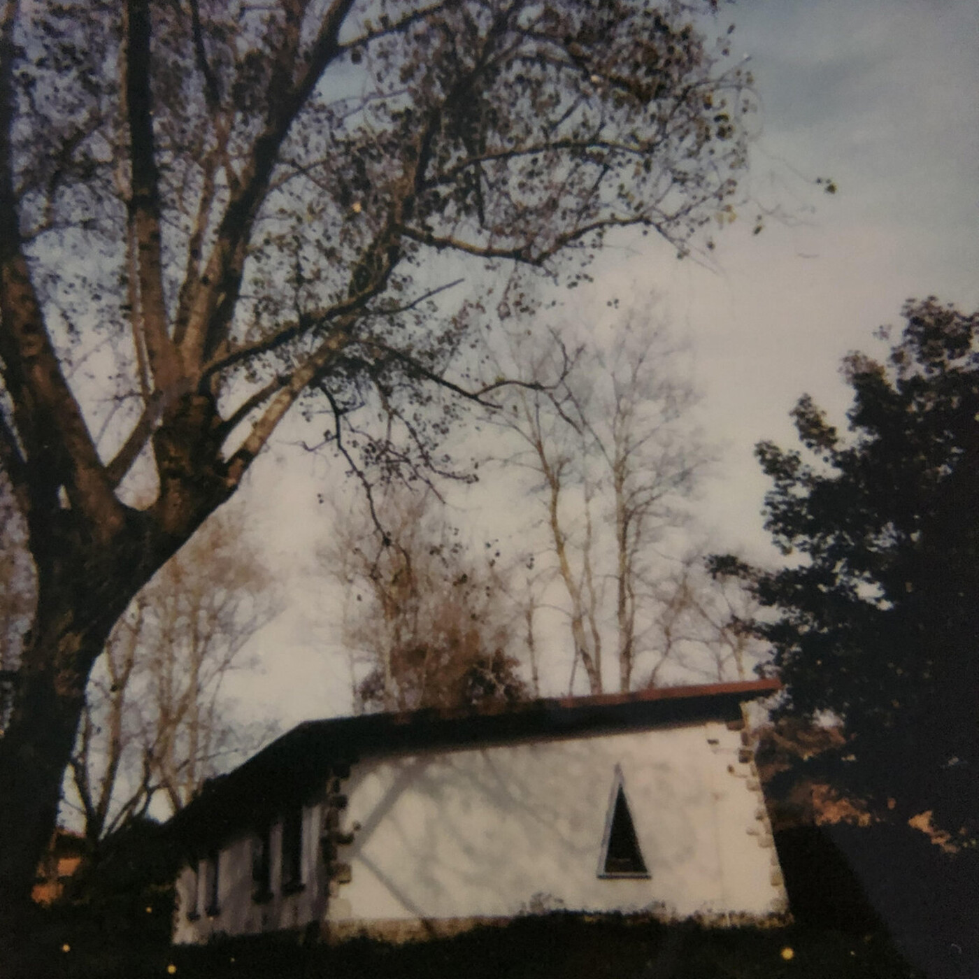 Vericuetos 402 episode artwork