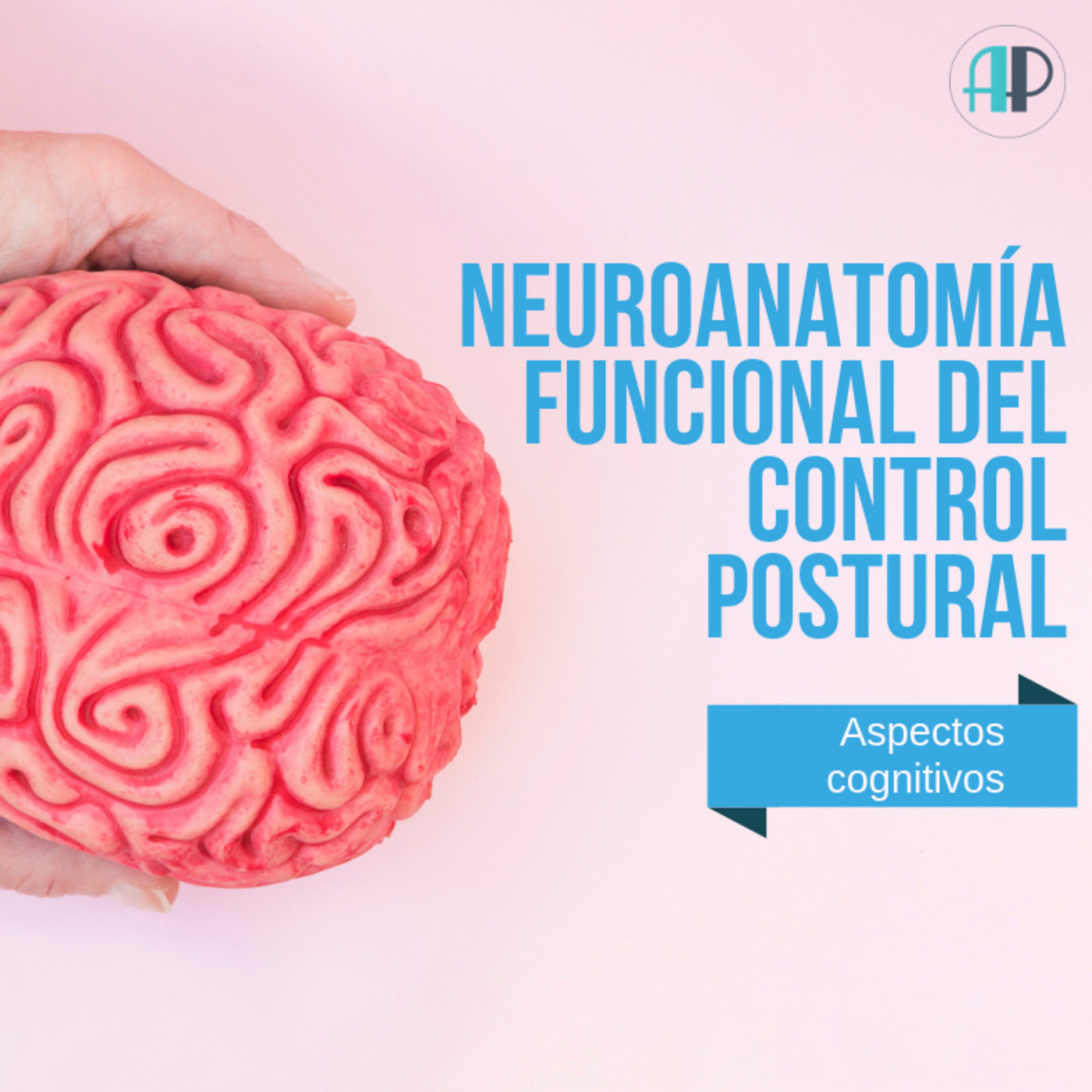 Neuroanatomía funcional del control motor - Audiopost 2