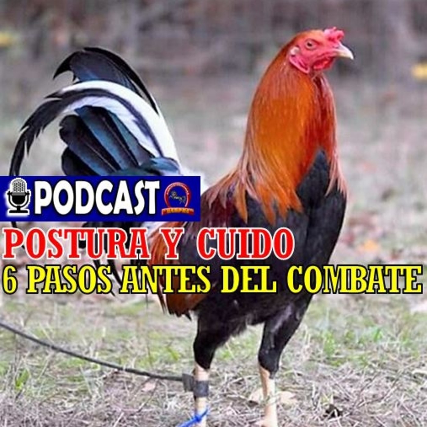 Pasión Gallera