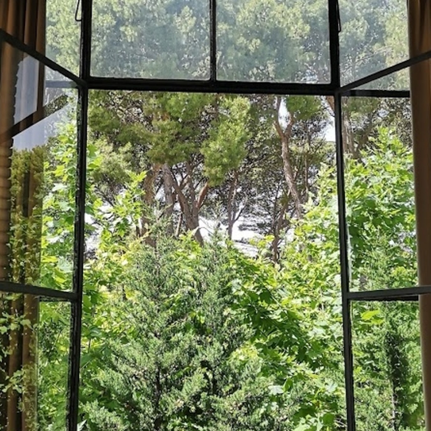 Historias desde mi balcón