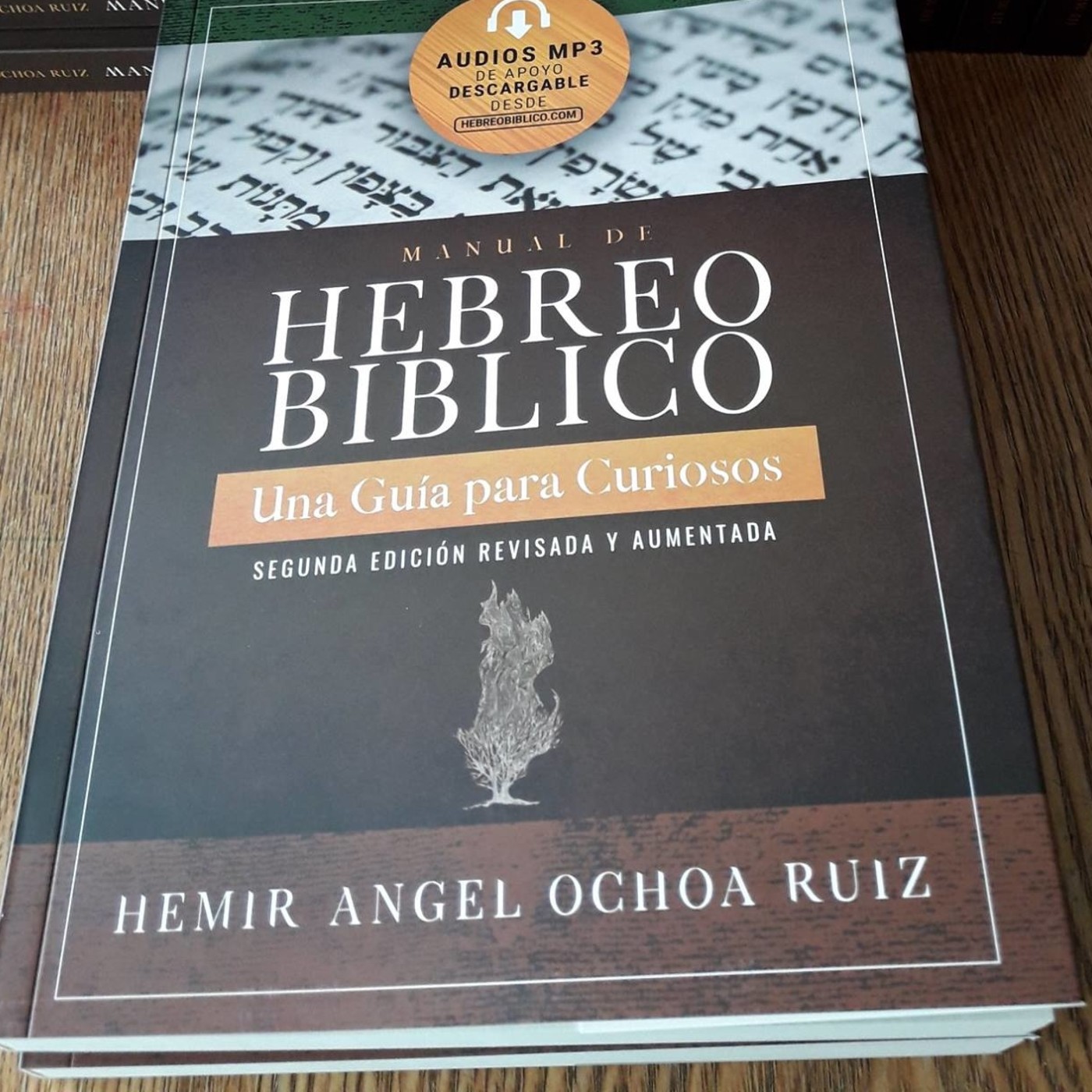Audios Manual de Hebreo Bíblico