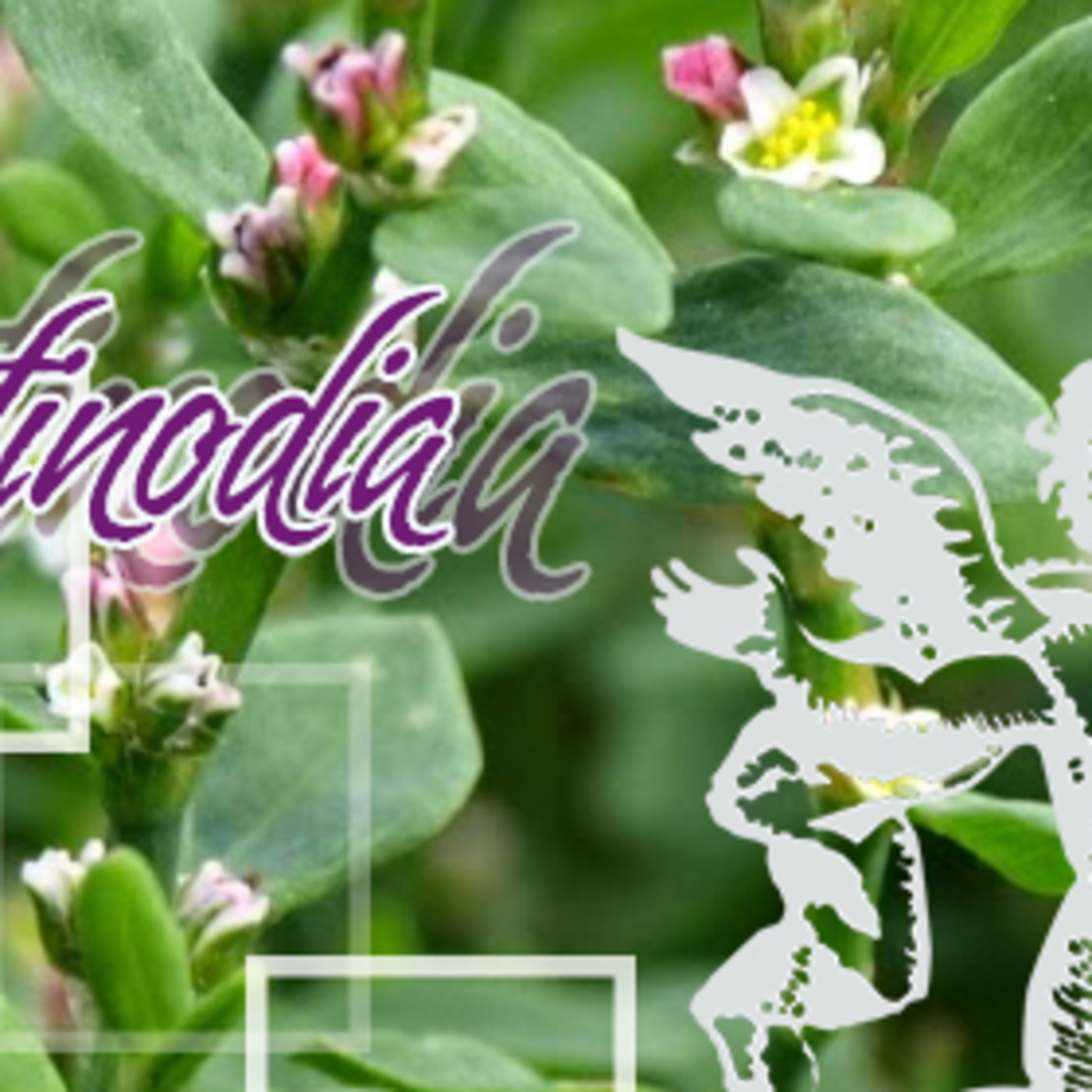 El Angel de tu Salud - CENTINODIA episode artwork
