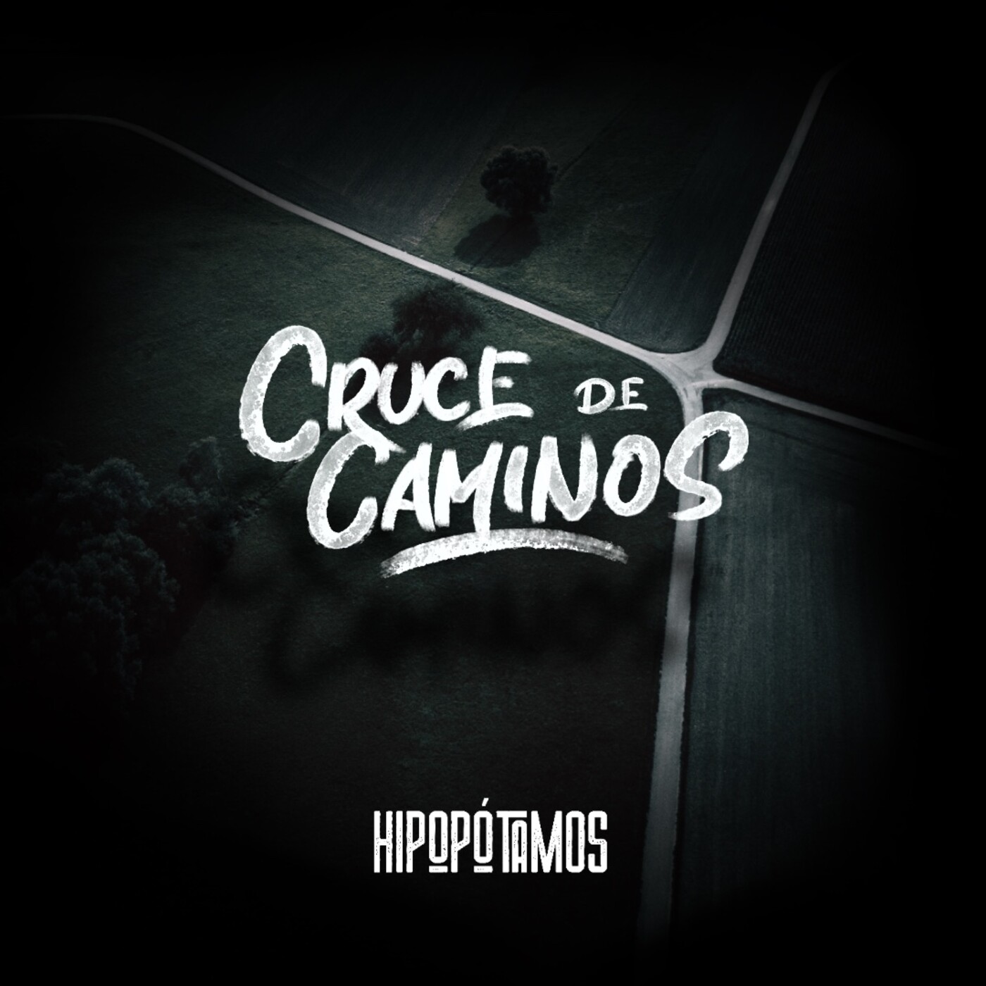 Hipopótamos