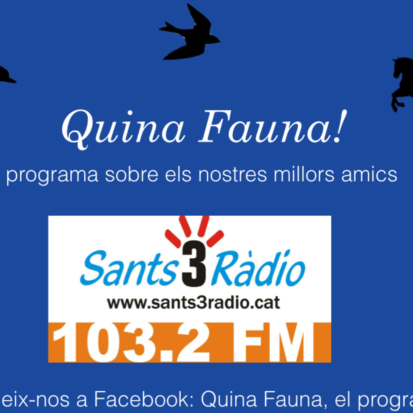 Quina Fauna