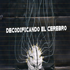 Cuarto milenio (29/12/2019) 15x15: Decodificando el cerebro