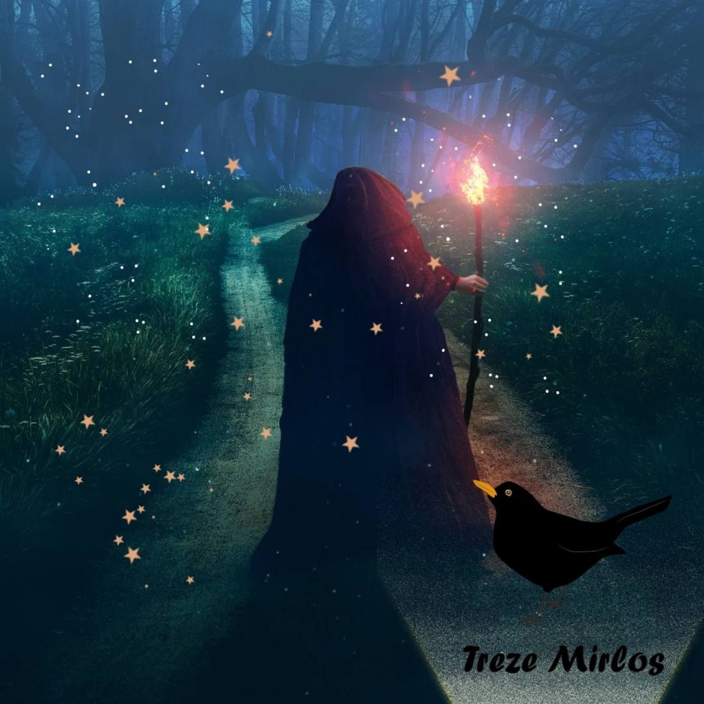 Treze Mirlos