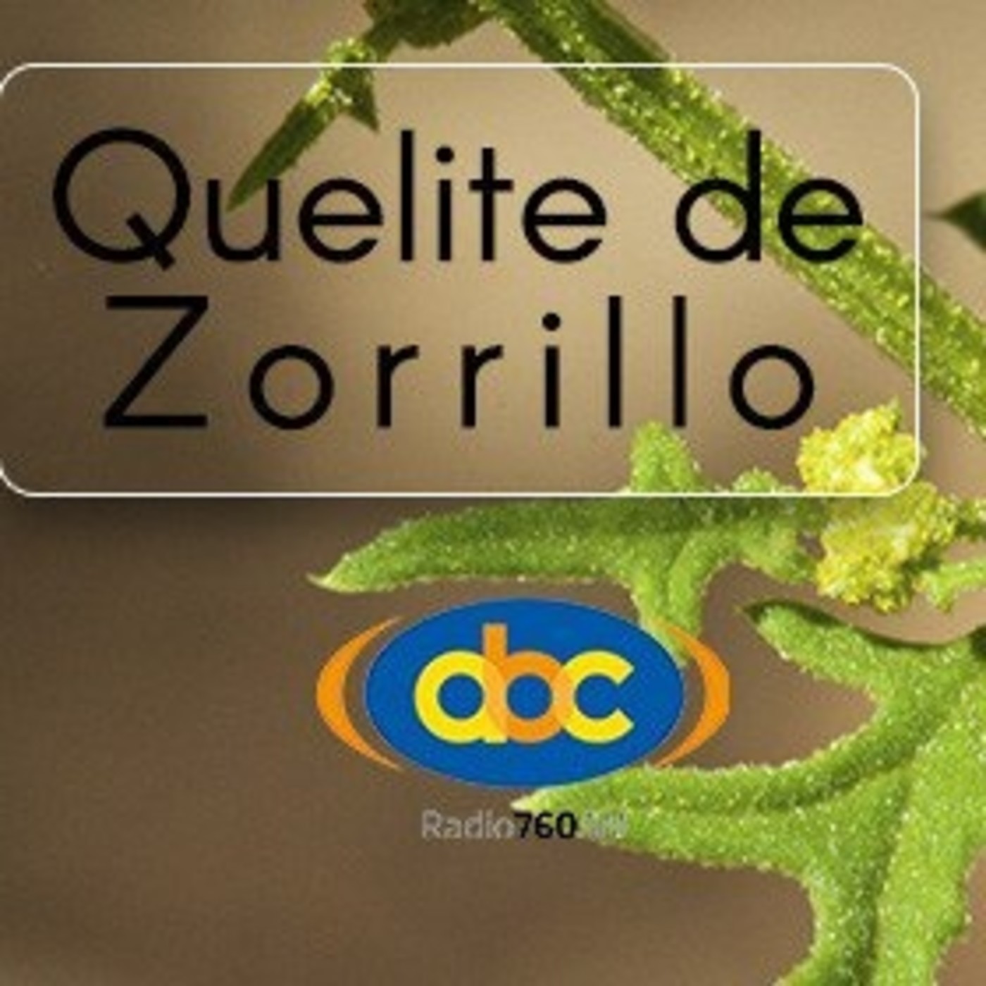 El Ángel de tu Salud - QUELITE DE ZORRILLO episode artwork