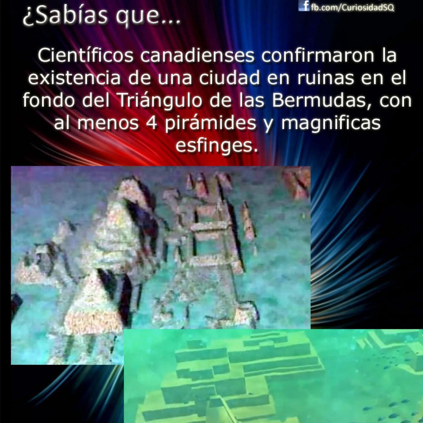 Noticiero Alternativo - Movimiento Veganista