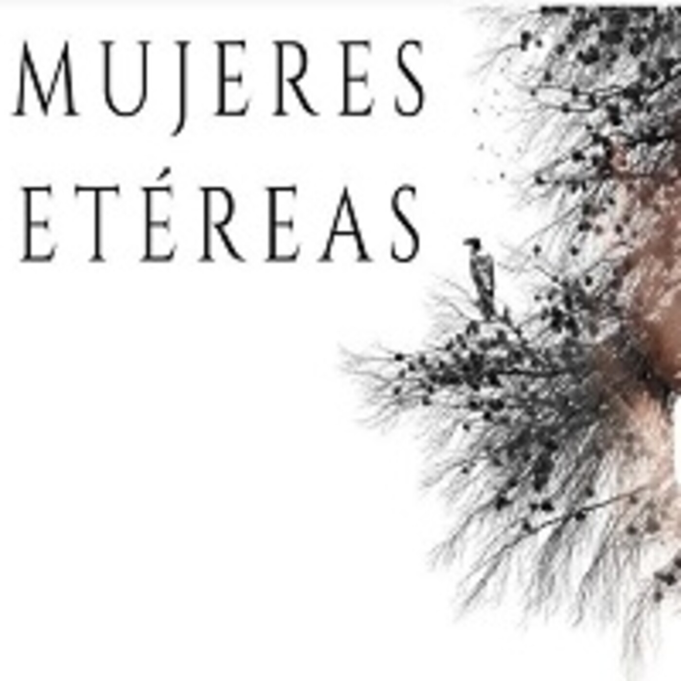 Mujeres etéreas 160621 p142 episode artwork