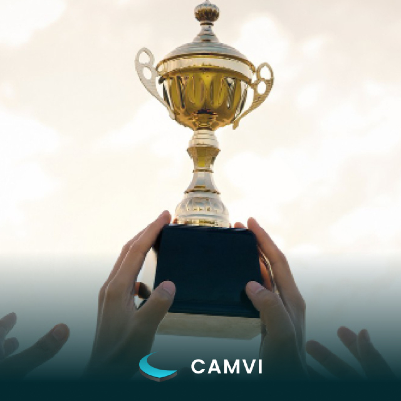 CAMVI