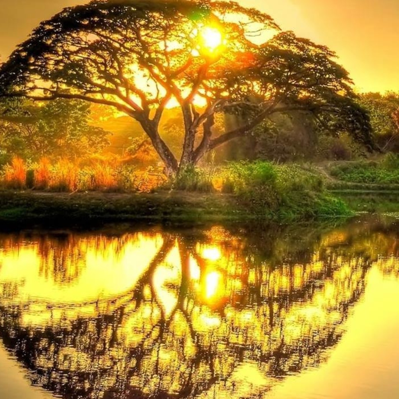 Brahma Kumaris Valencia