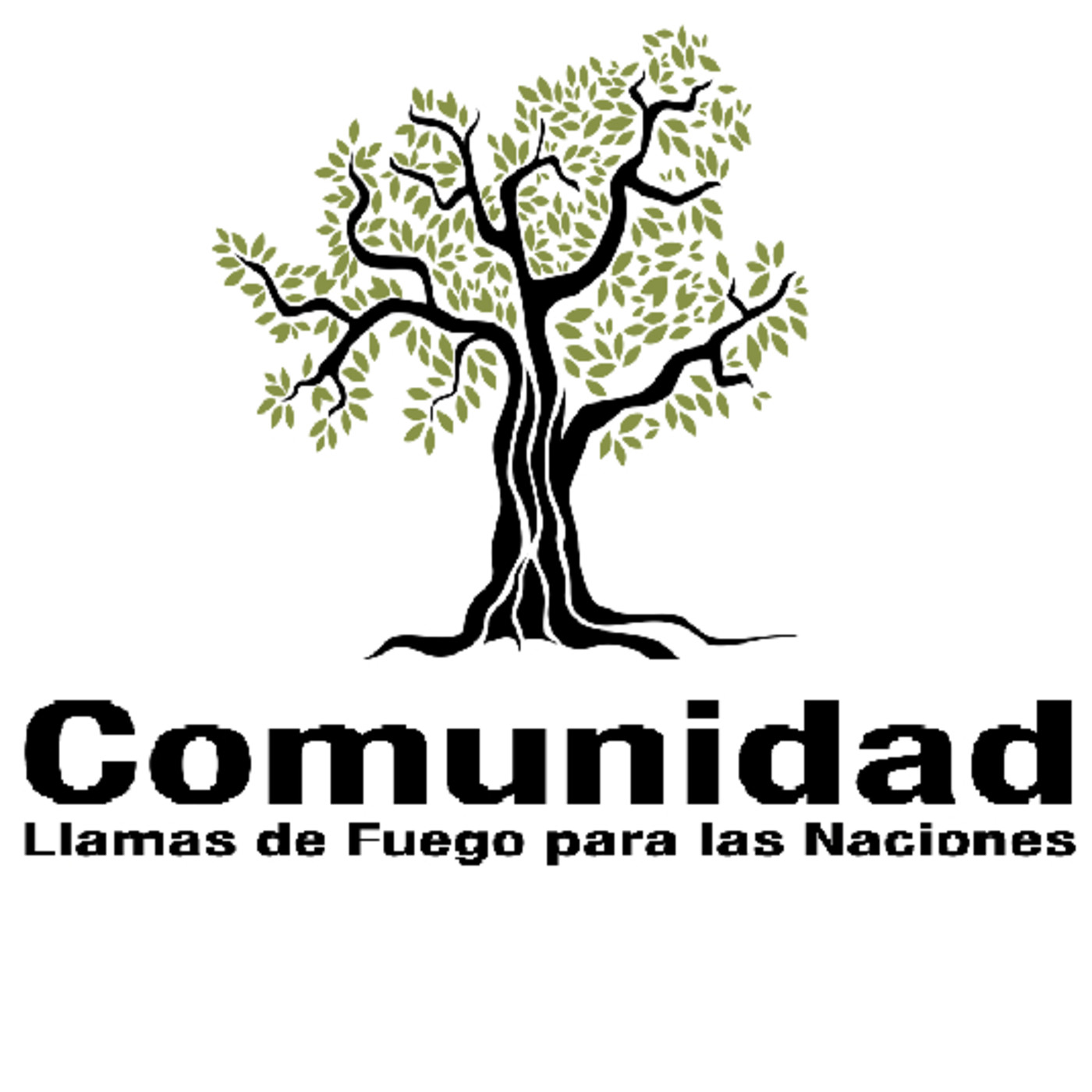 Estudios de la Parashat