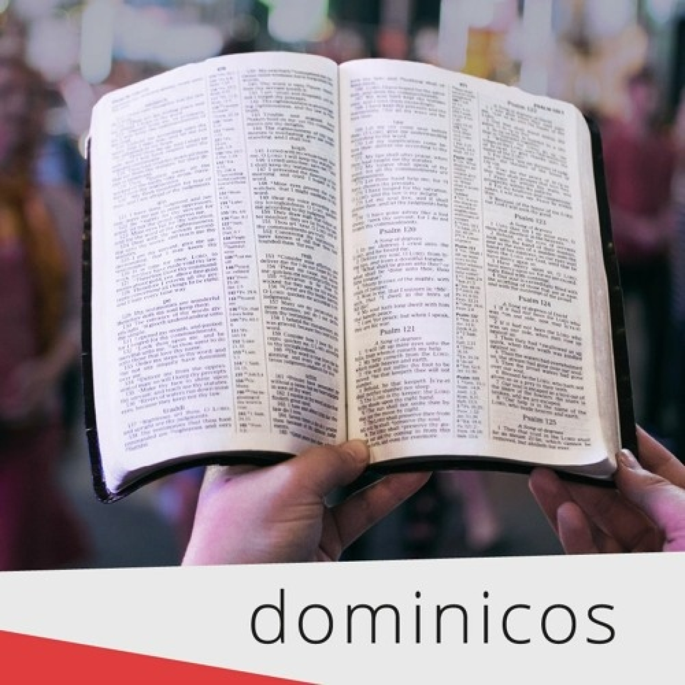 Reflexión diaria sobre la Palabra de Dios
