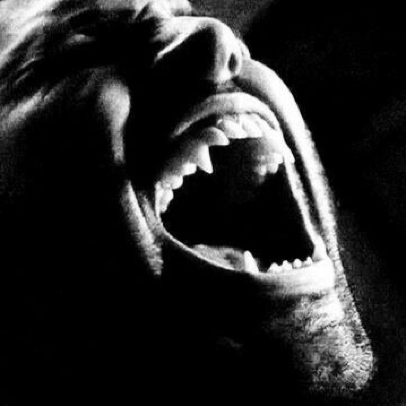 Relatos de terror Macabra Visión