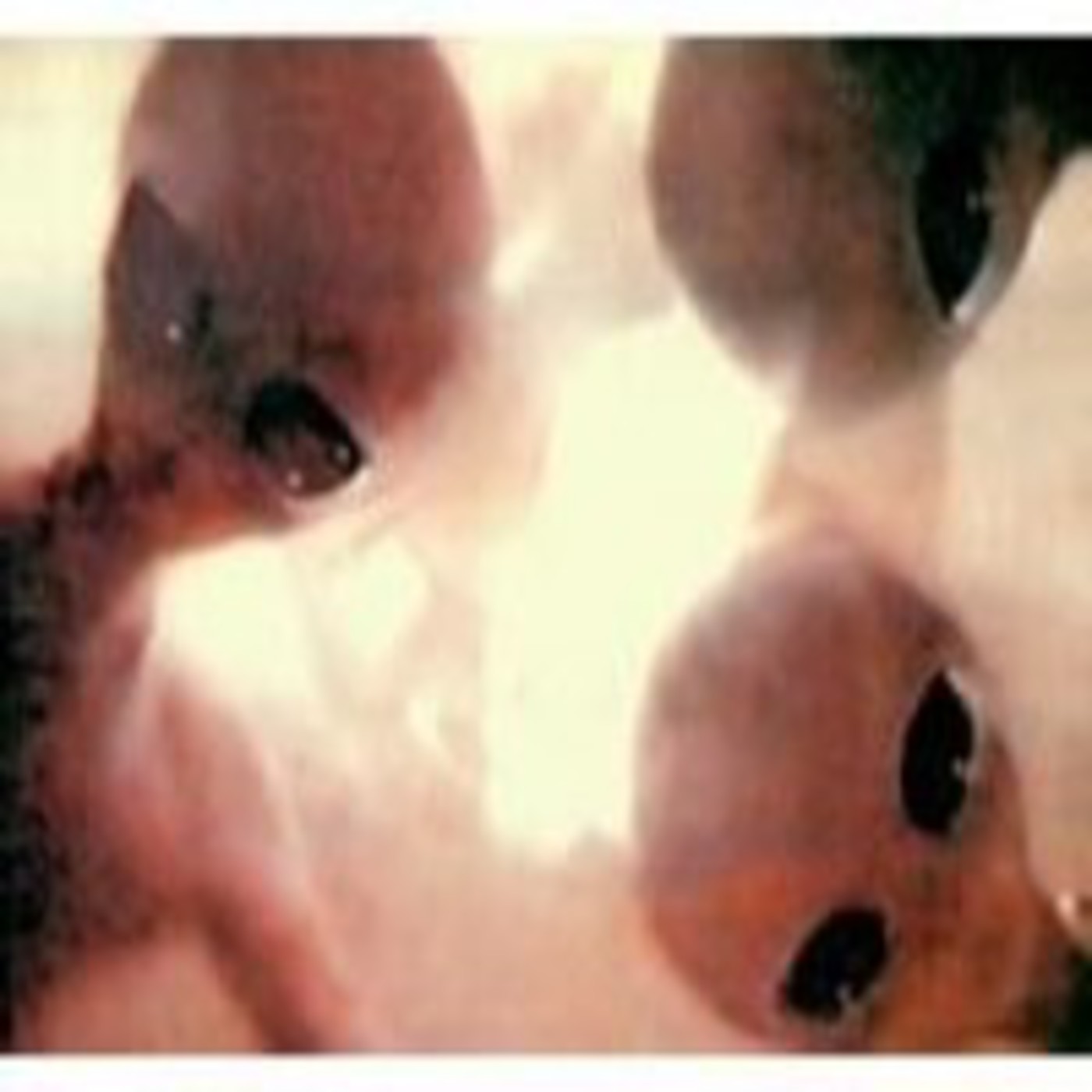 Abduccions - La Tarda a Radio Cubelles (3) episode artwork