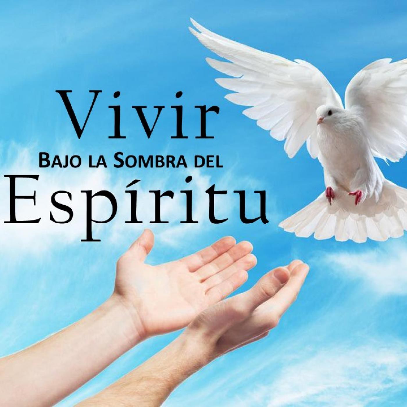 Vivir bajo la sombra del Espíritu Santo episode artwork