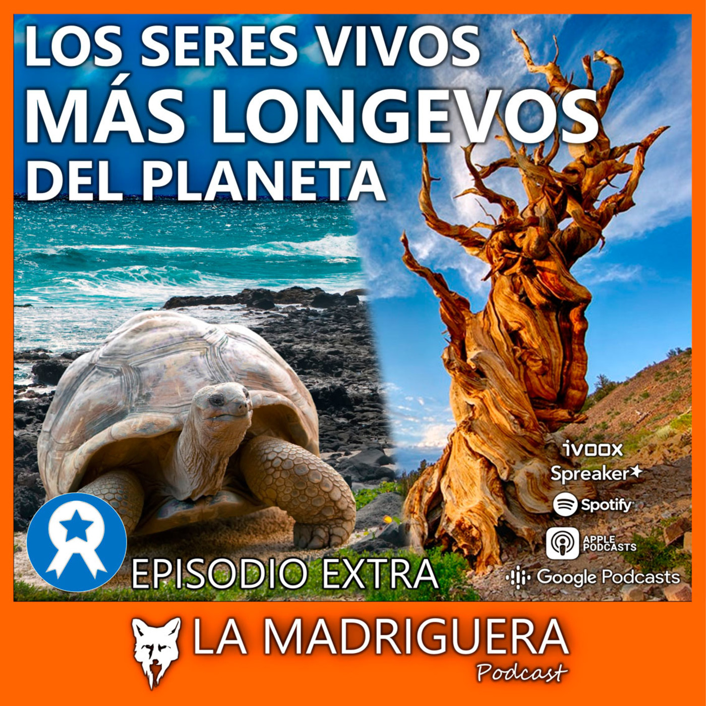 LA MADRIGUERA