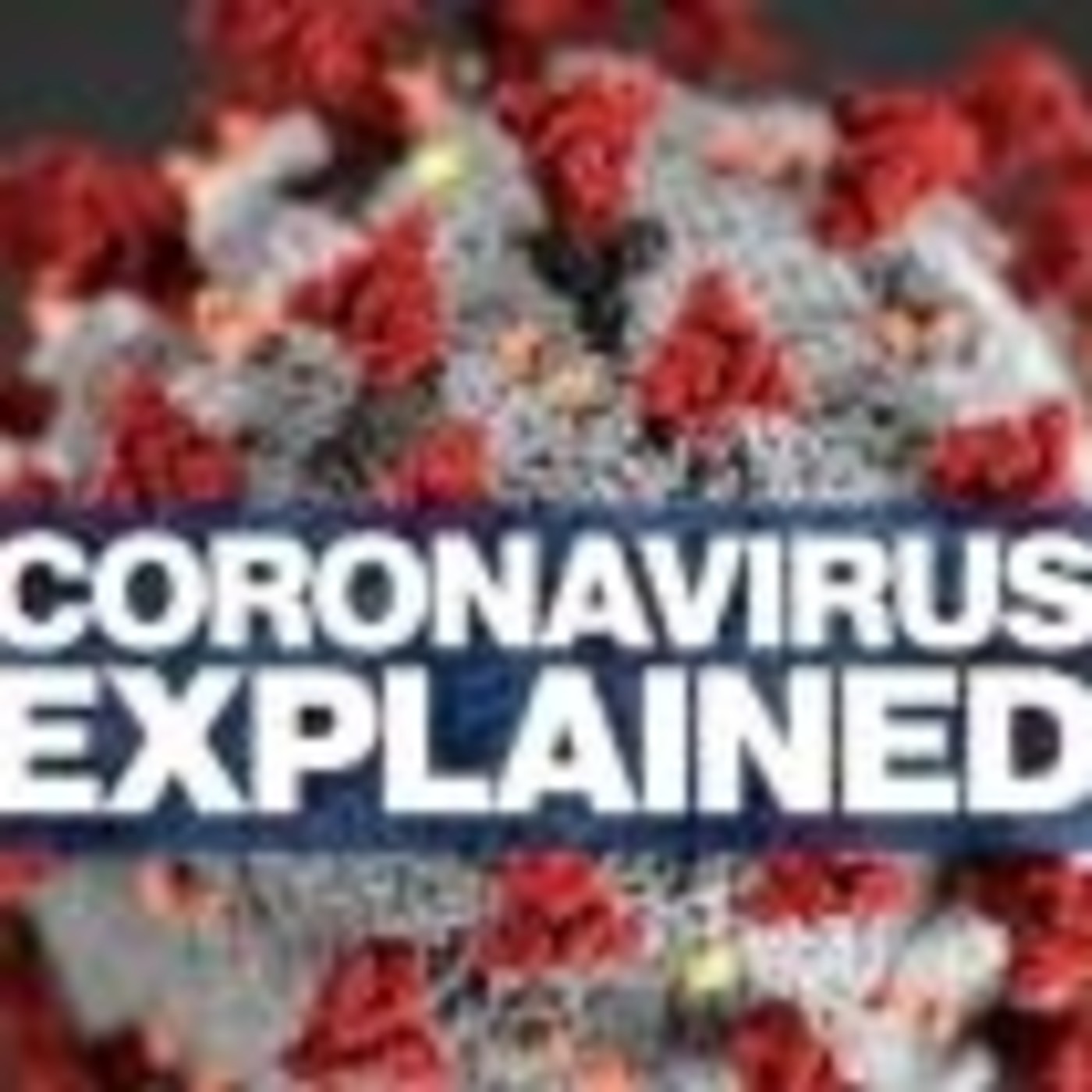El coronavirus en pocas palabras episode artwork