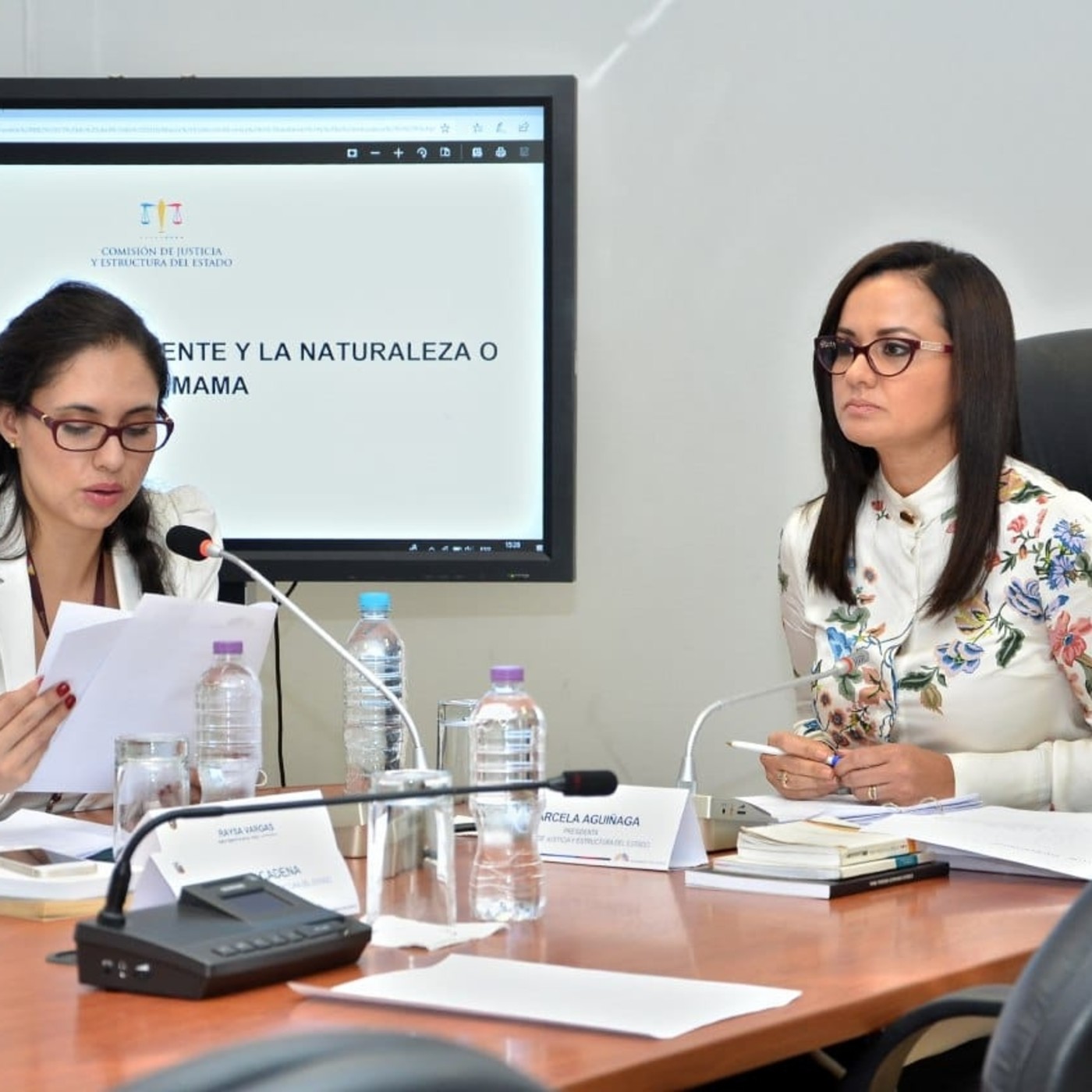 Comisión de Justicia - Asamblea Nacional