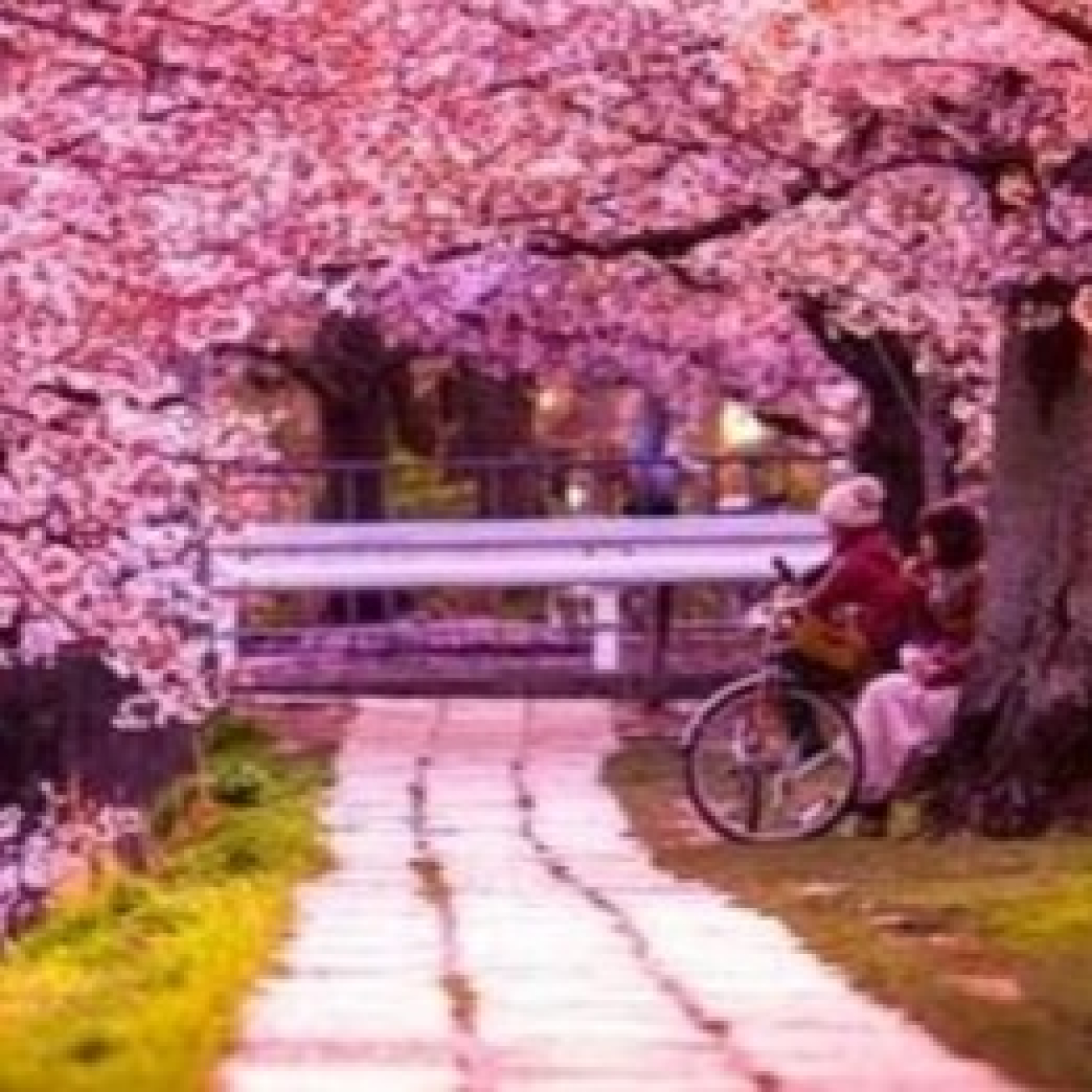 Las músicas del jardín secreto